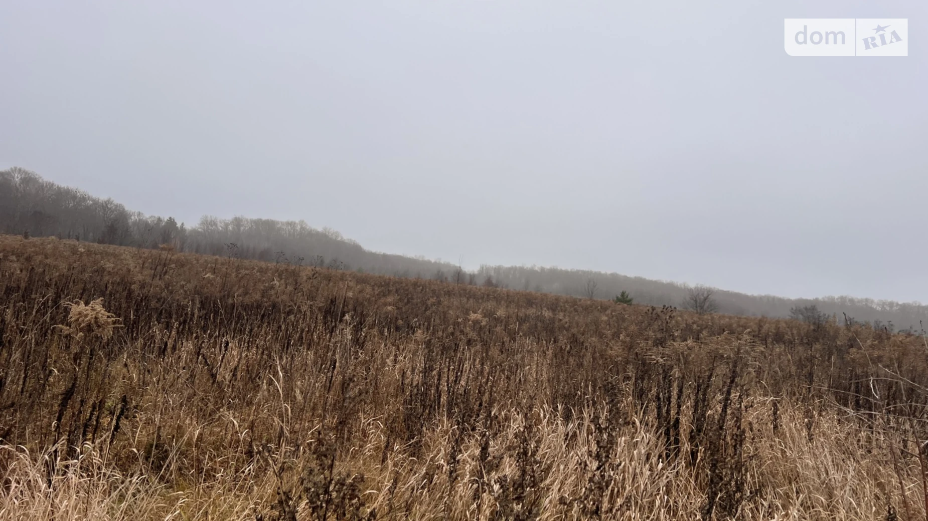 Продается земельный участок 20 соток в Винницкой области, цена: 40500 $ - фото 3