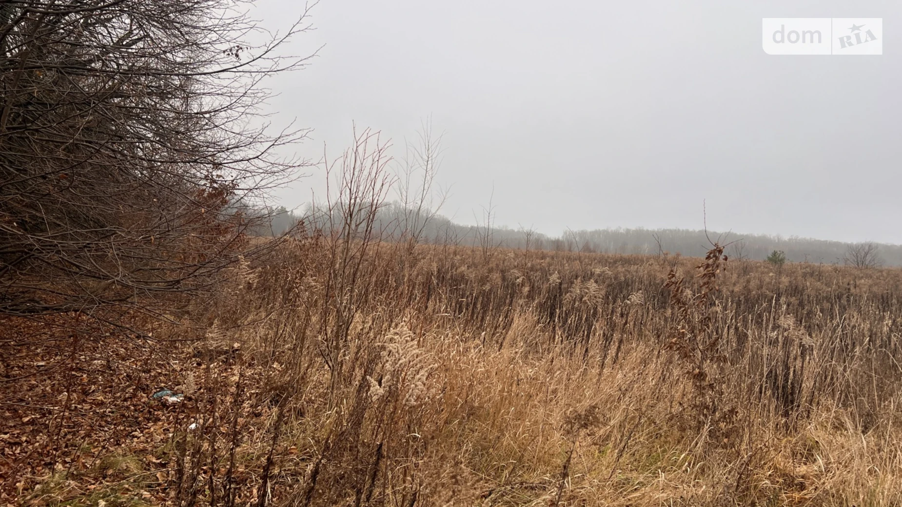 Продается земельный участок 20 соток в Винницкой области, цена: 40500 $ - фото 5