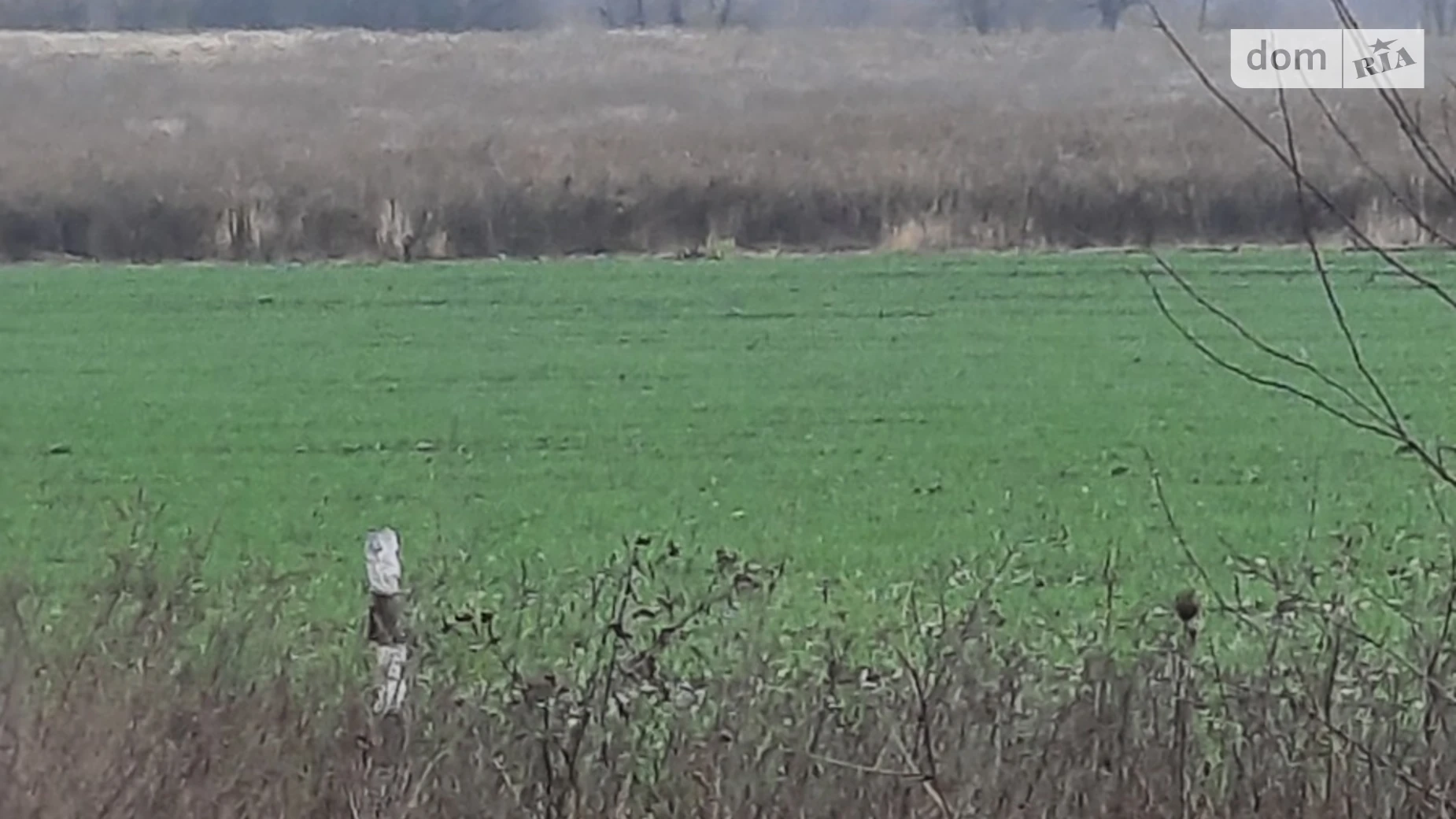 Продається земельна ділянка 10 соток у Вінницькій області, цена: 12000 $ - фото 4