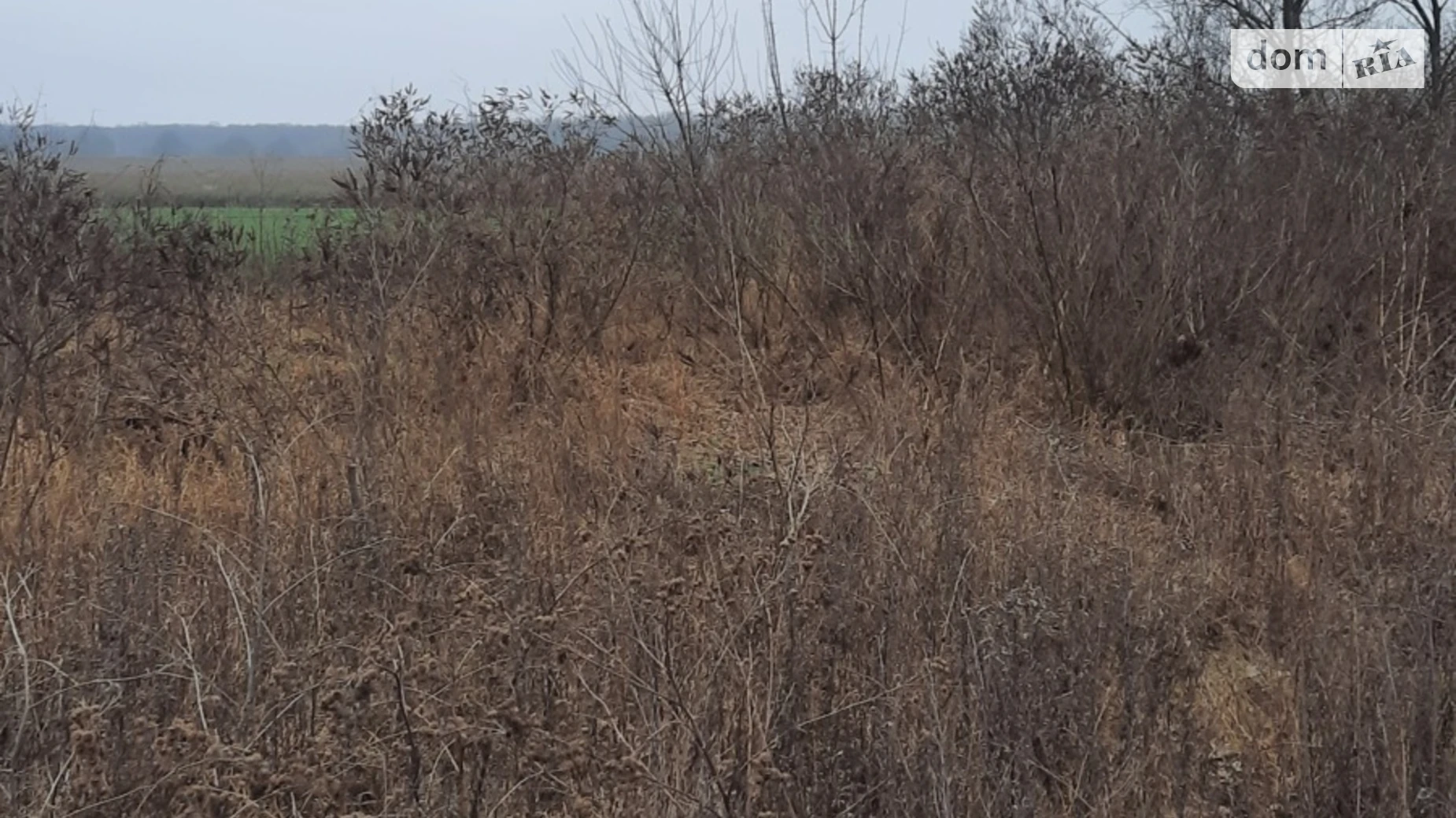 Продається земельна ділянка 10 соток у Вінницькій області, цена: 12000 $ - фото 5