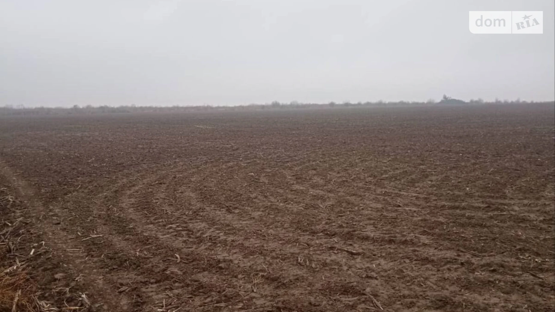 Сдается в аренду земельный участок 1.9564 соток в Хмельницкой области, цена: 5256 грн - фото 2