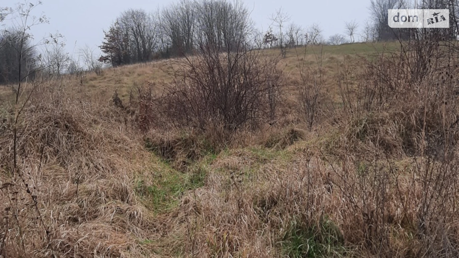 Продается земельный участок 15 соток в Винницкой области, цена: 10000 $ - фото 5