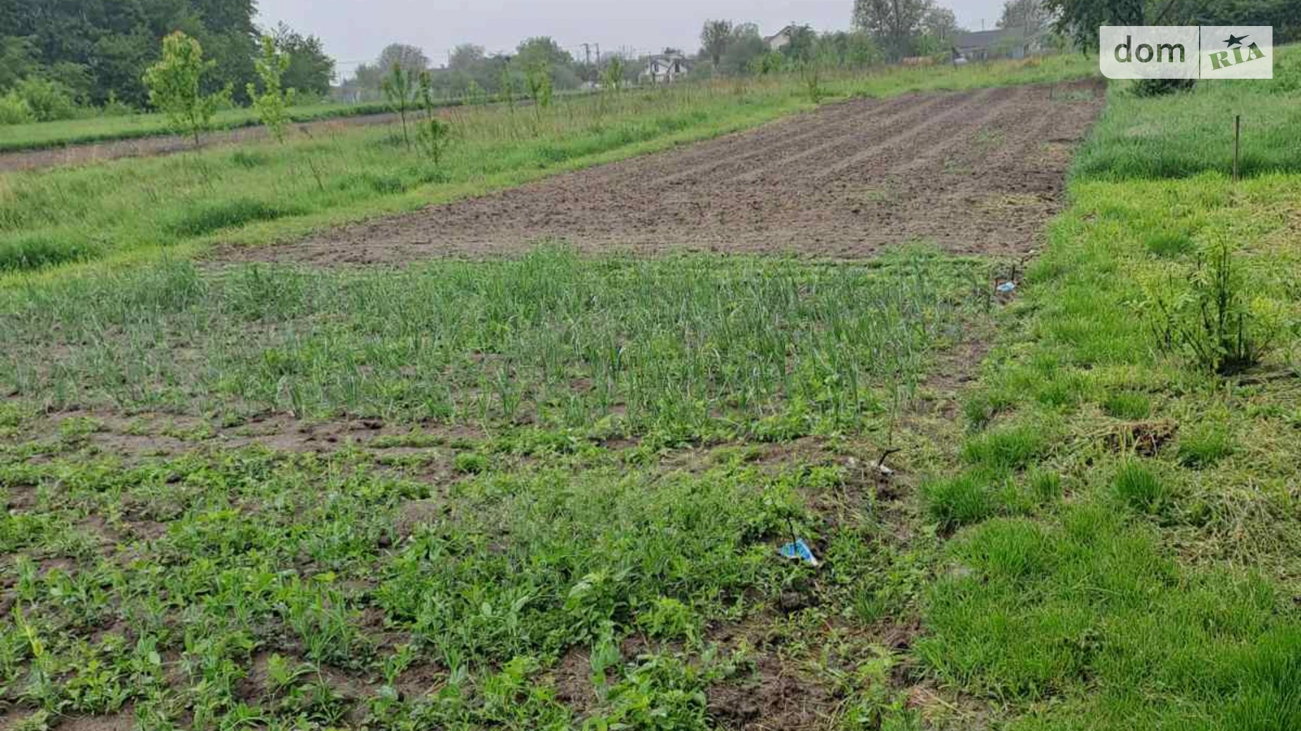 ул. Полевая Гнивань (Тывров), цена: 12800 $ - фото 3