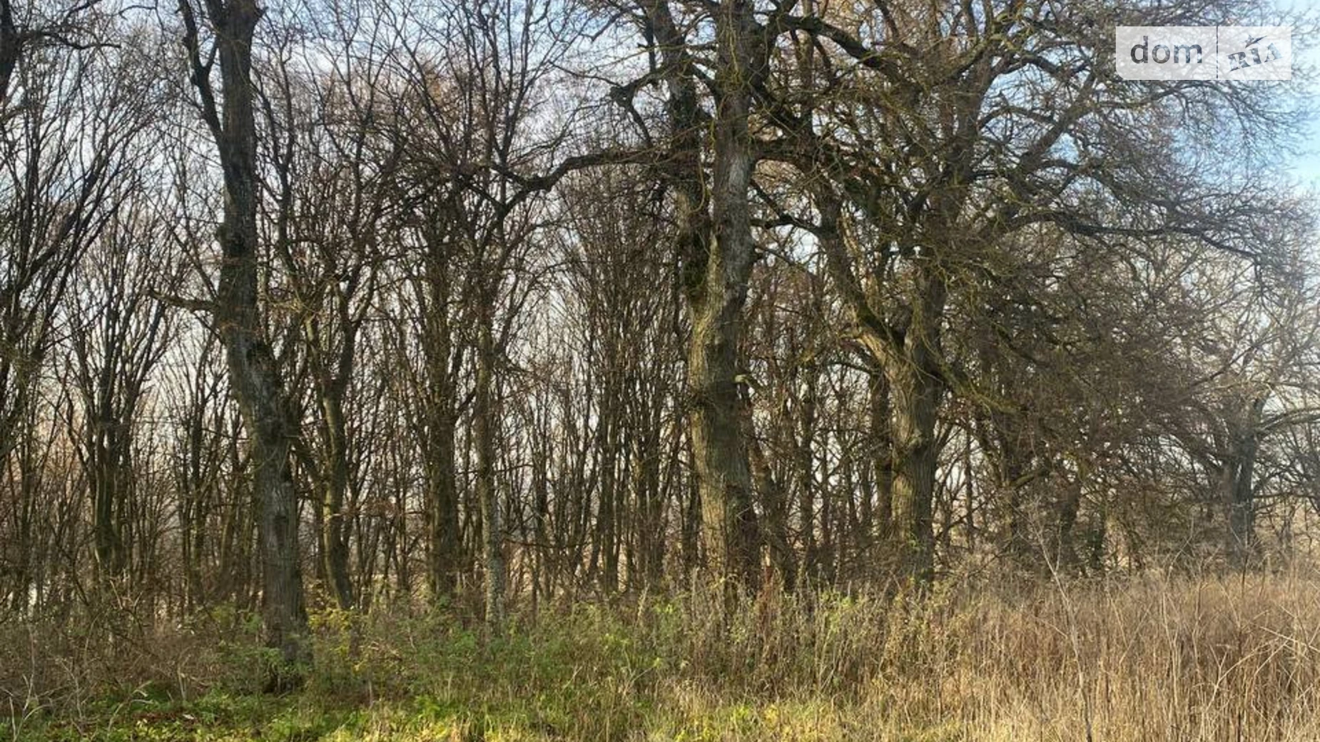 Продается земельный участок 11 соток в Тернопольской области, цена: 55000 $ - фото 5