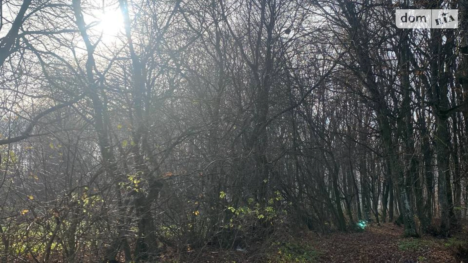 Продается земельный участок 11 соток в Тернопольской области, цена: 55000 $ - фото 4