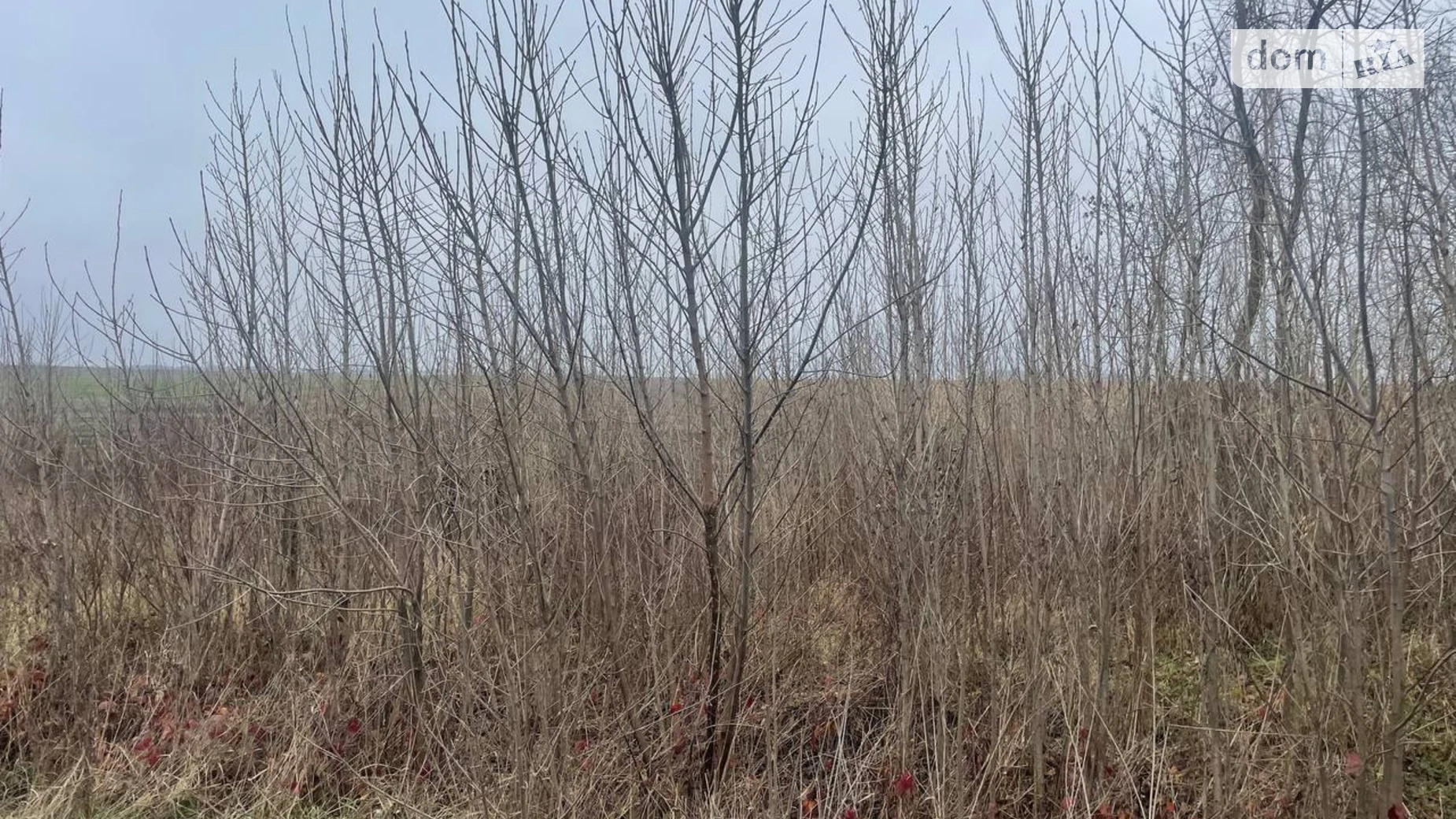 Продається земельна ділянка 34 соток у Тернопільській області, цена: 170000 $ - фото 3