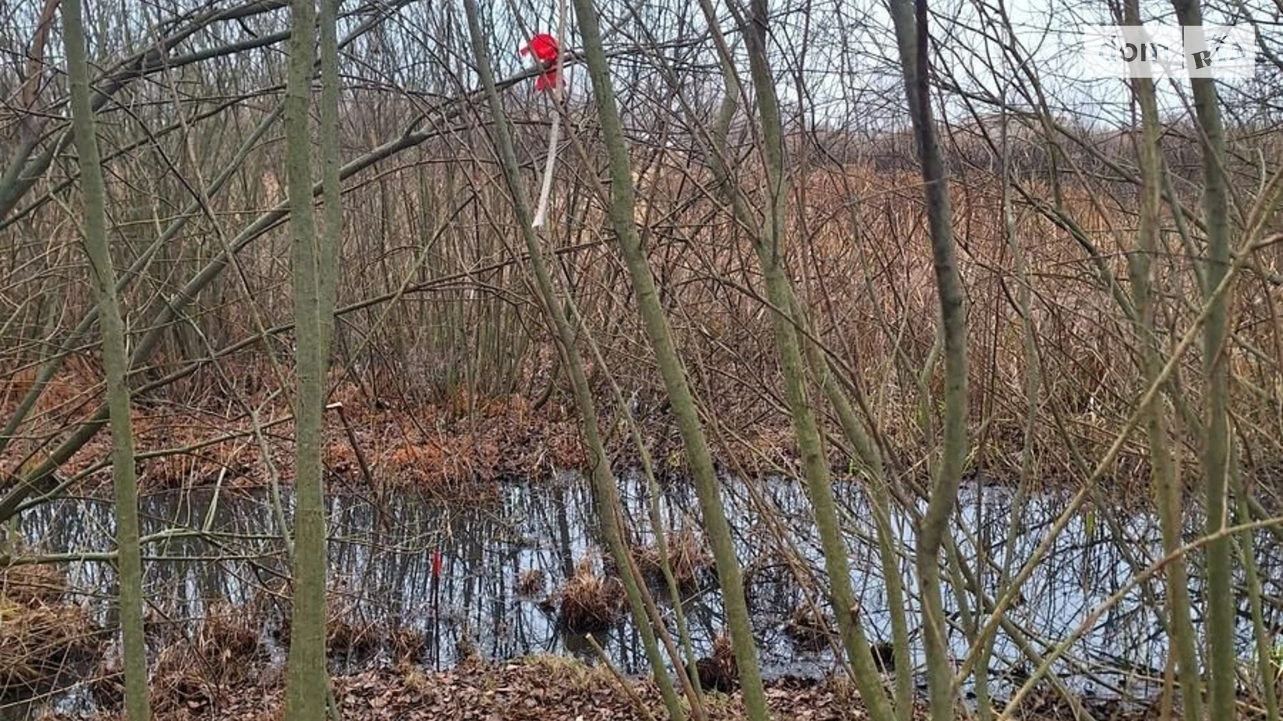 Продается земельный участок 13.5 соток в Киевской области, цена: 81000 $ - фото 4