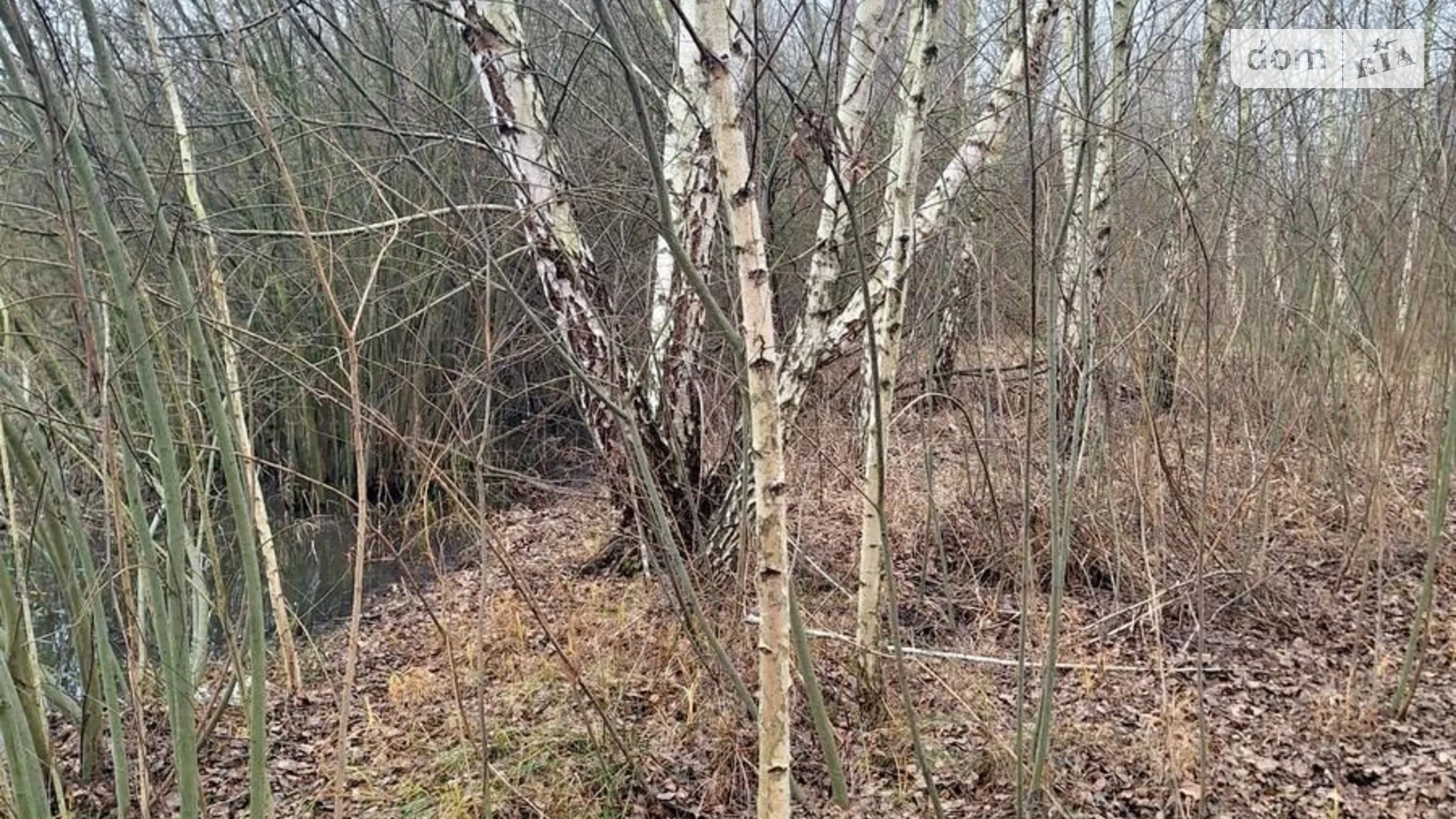 Продается земельный участок 13.5 соток в Киевской области, цена: 81000 $ - фото 5