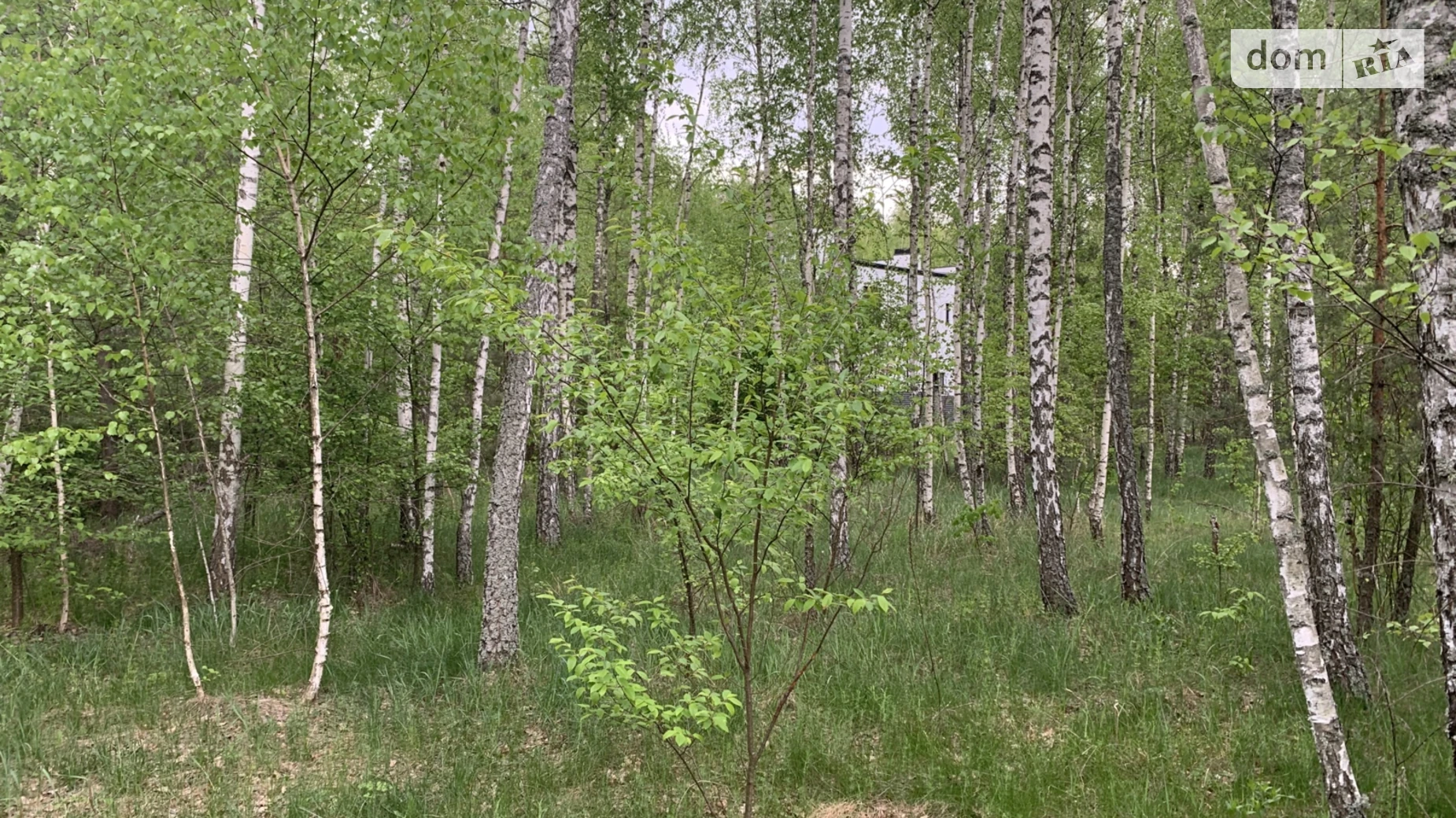 Продается земельный участок 12 соток в Киевской области, цена: 24000 $ - фото 2