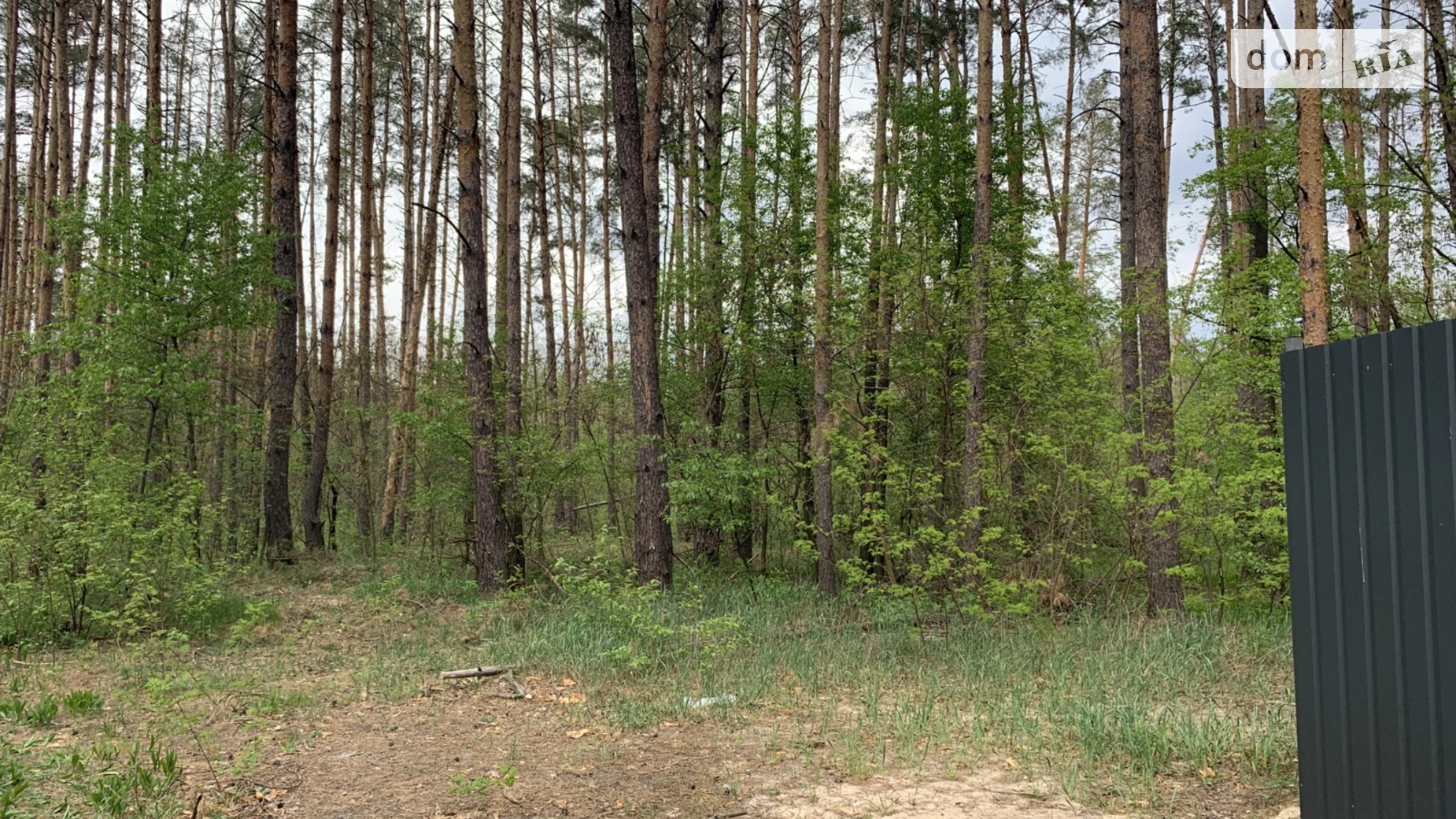 Продается земельный участок 12 соток в Киевской области, цена: 24000 $ - фото 3