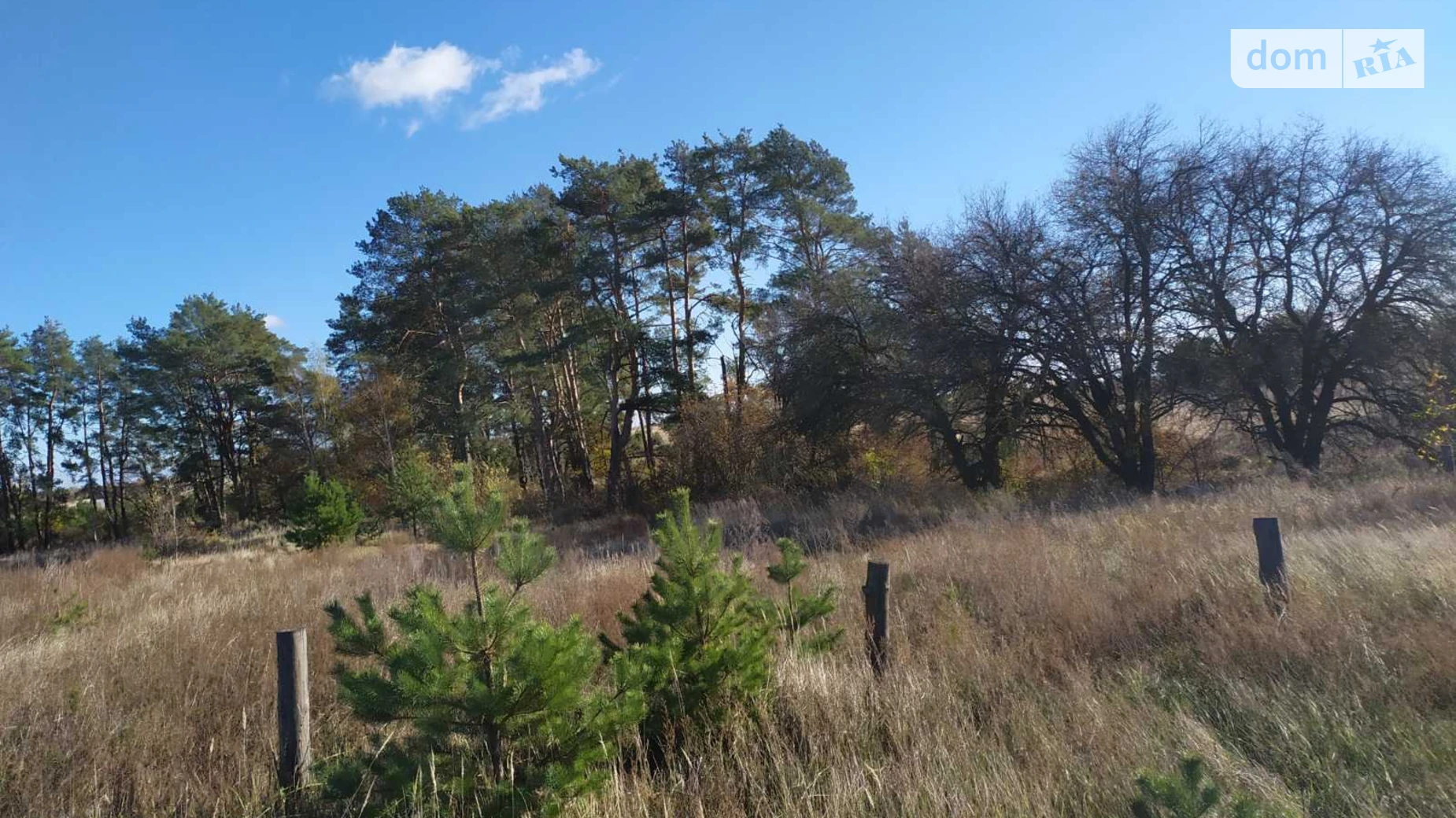 ул. Садовая Дымер, цена: 150000 грн - фото 2