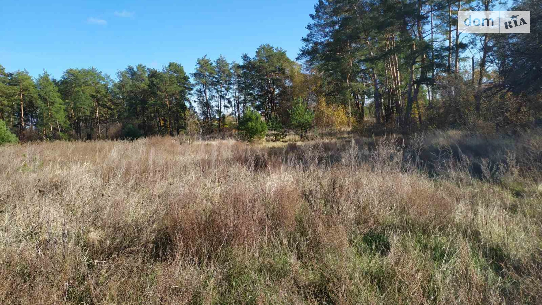 ул. Садовая Дымер, цена: 150000 грн - фото 5