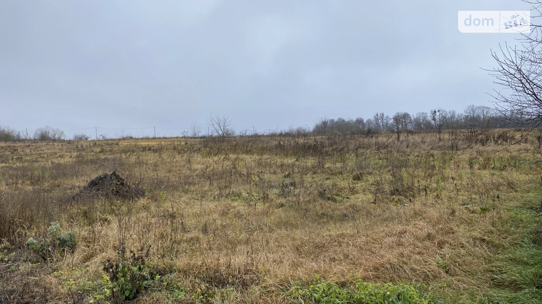 Продается земельный участок 10 соток в Хмельницкой области, цена: 25000 $ - фото 3