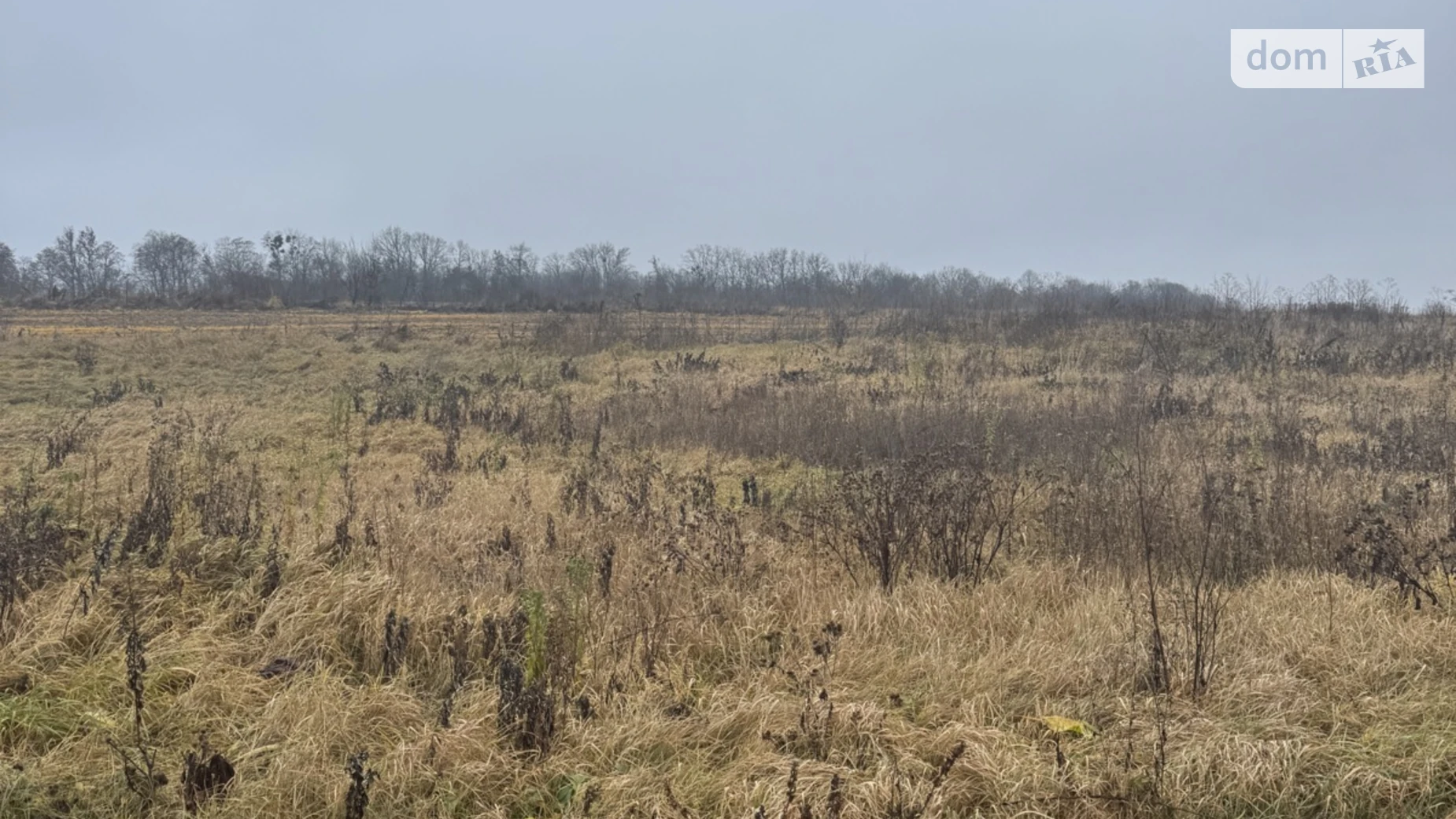 Продается земельный участок 10 соток в Хмельницкой области, цена: 25000 $ - фото 3