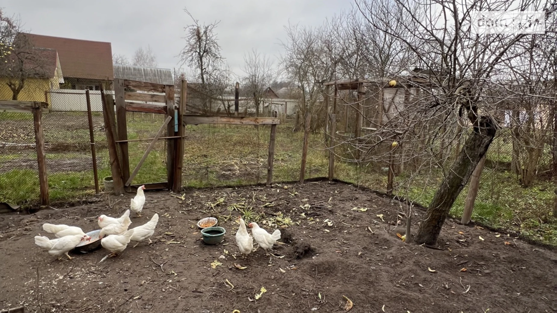 ул. Петлюры Клавдиево-Тарасово, цена: 38000 $ - фото 3