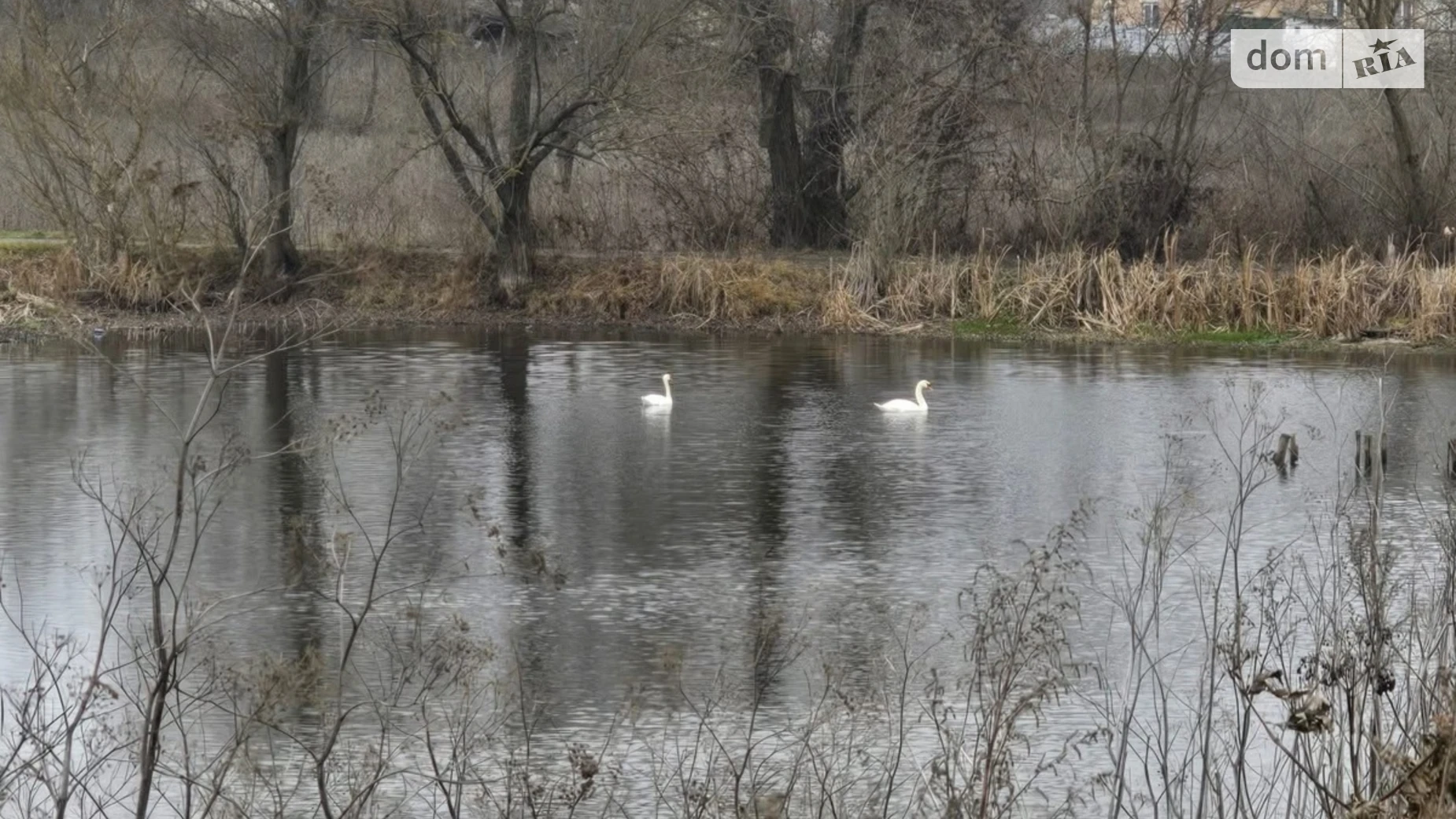 Продається одноповерховий будинок 49.2 кв. м з меблями, цена: 12000 $ - фото 4