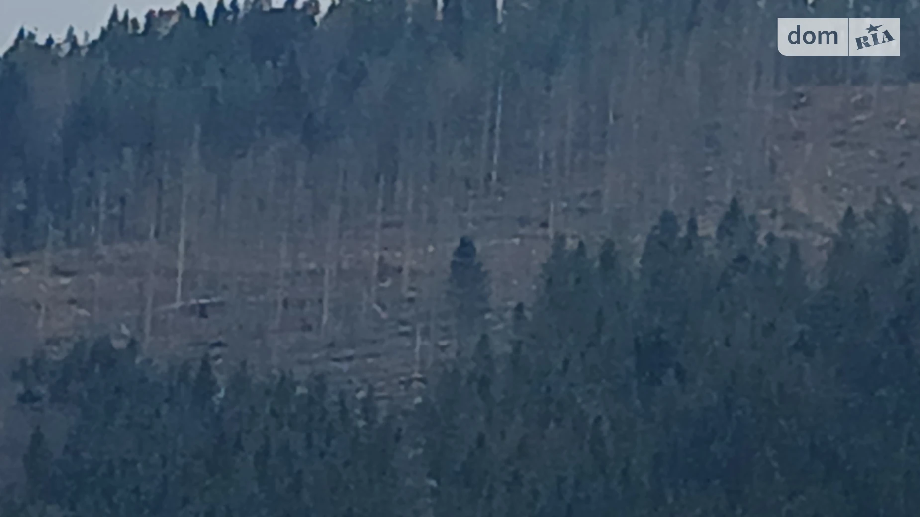 Продается земельный участок 1.1569 соток в Ивано-Франковской области, цена: 139200 $ - фото 2