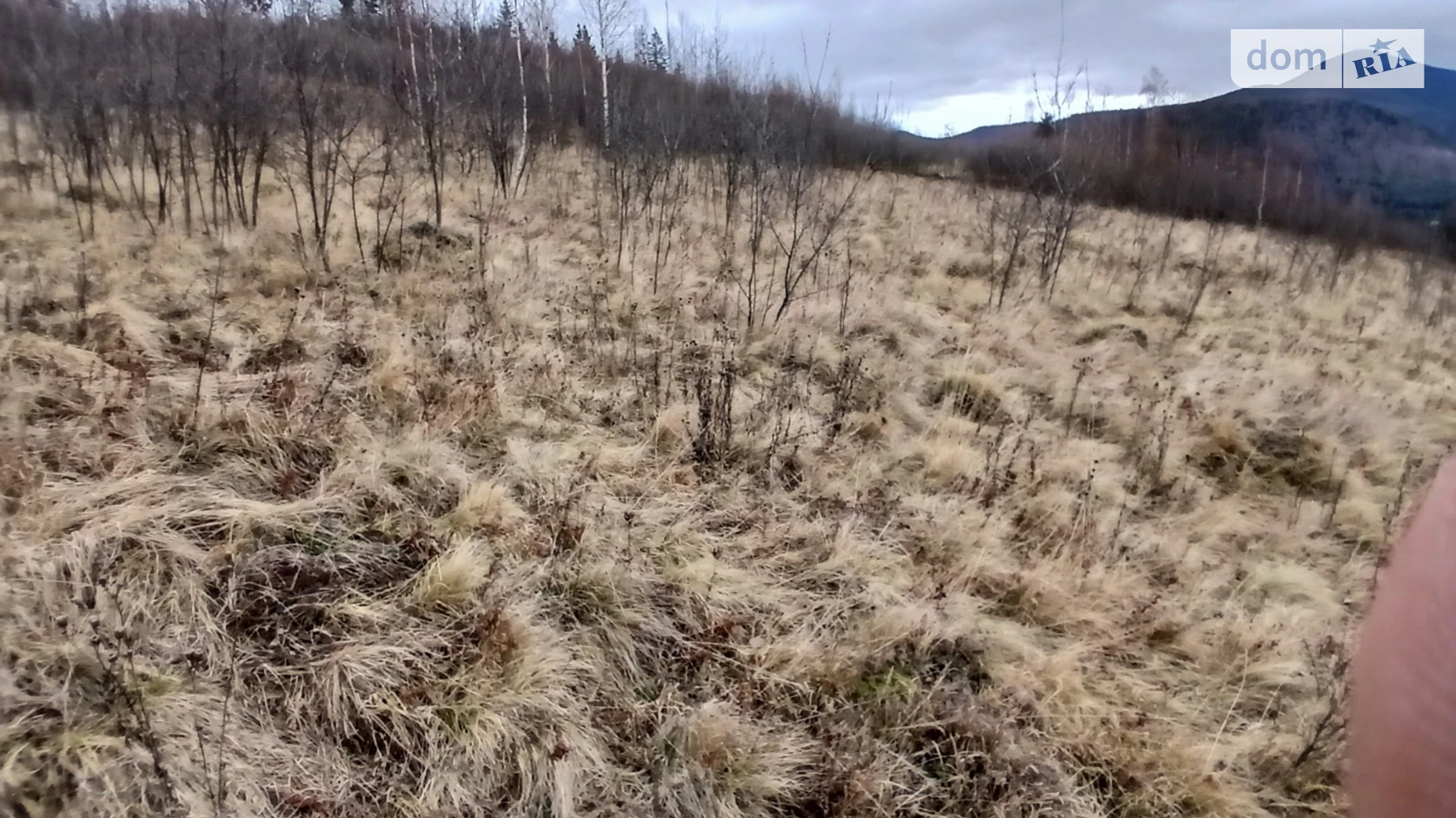 Продается земельный участок 1.1569 соток в Ивано-Франковской области, цена: 139200 $ - фото 3