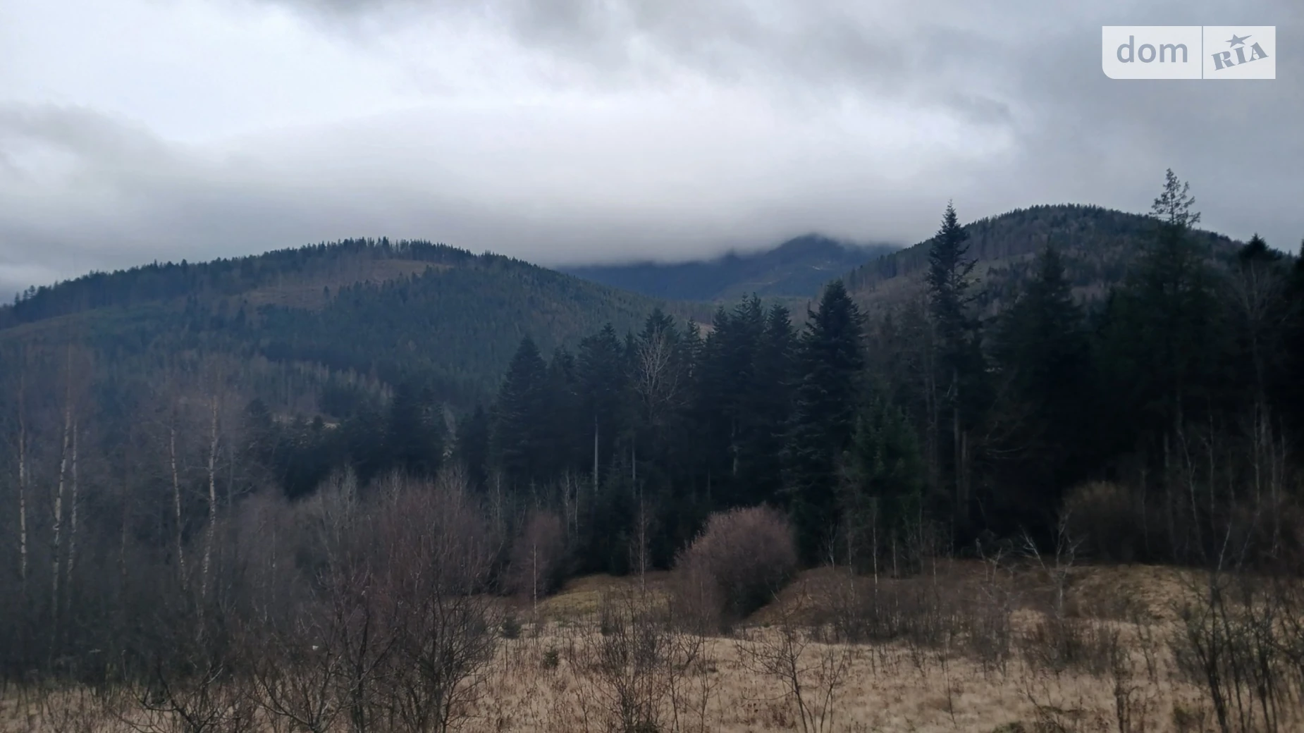 Продается земельный участок 1.1569 соток в Ивано-Франковской области, цена: 139200 $ - фото 4