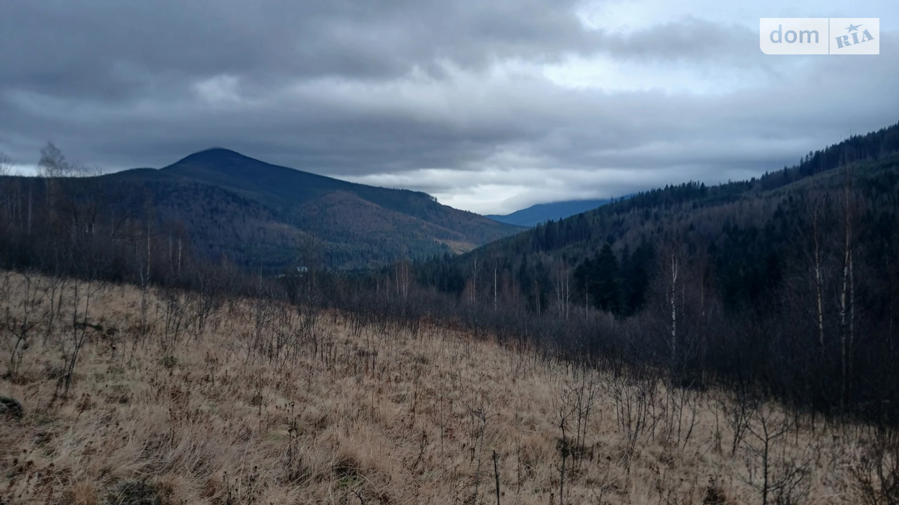 Продается земельный участок 1.1569 соток в Ивано-Франковской области, цена: 139200 $ - фото 5