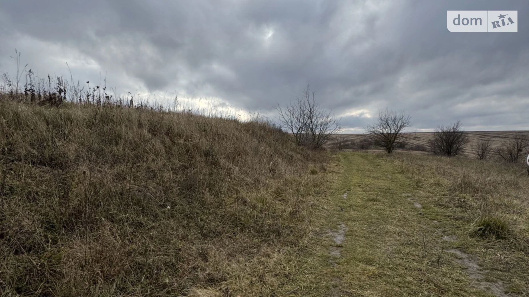 Продается земельный участок 158.7 соток в Хмельницкой области, цена: 50000 $ - фото 3