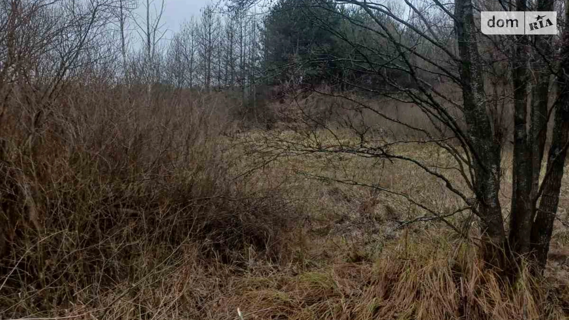 Продается земельный участок 1.0675 соток в Львовской области, цена: 35000 $ - фото 2