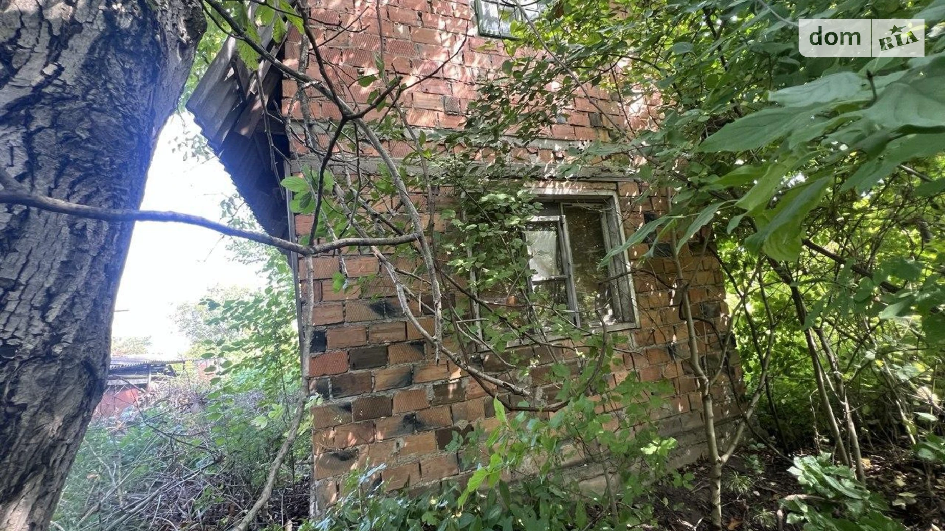 Продается земельный участок 4 соток в Черновицкой области, цена: 6000 $ - фото 5