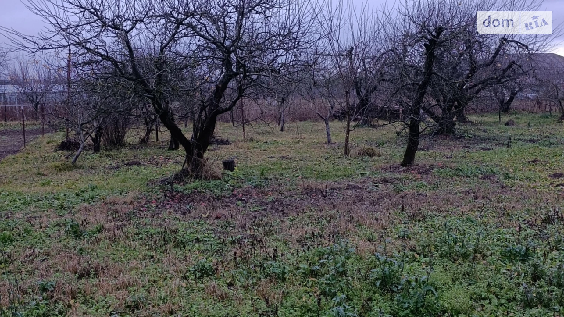 Продается земельный участок 20 соток в Винницкой области, цена: 80000 $ - фото 5