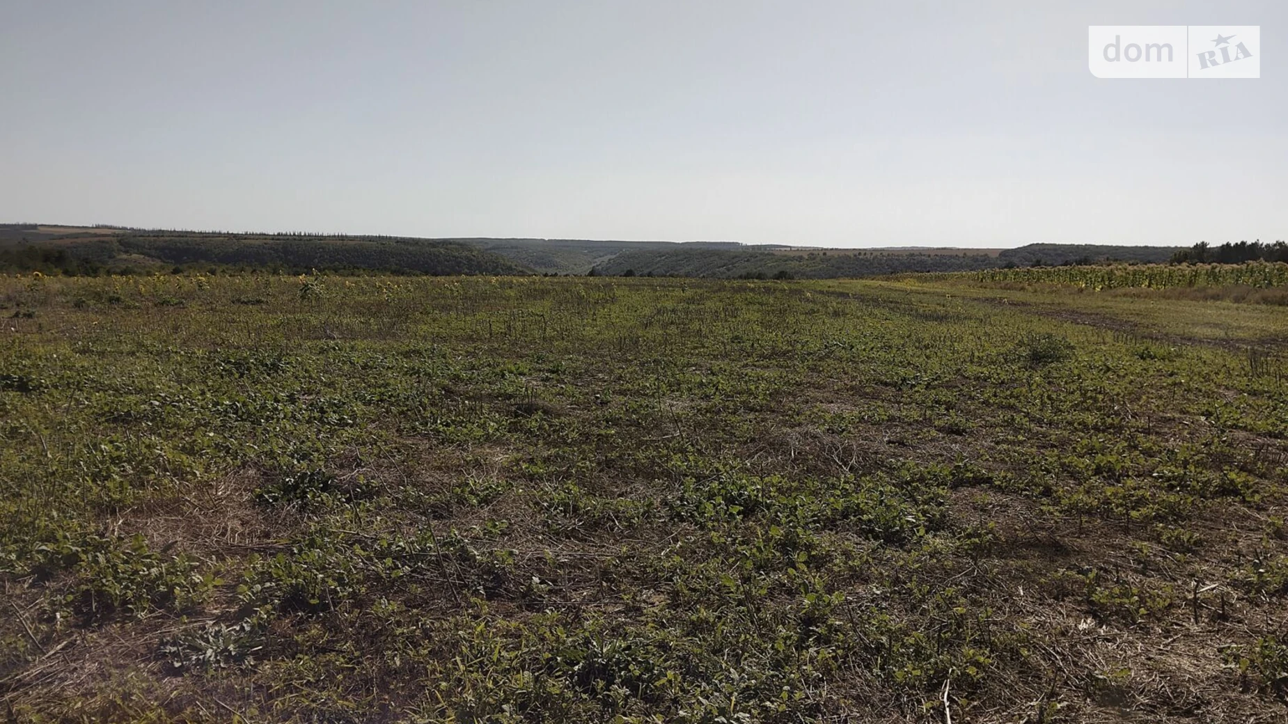Сдается в аренду земельный участок 8.202 соток в Хмельницкой области, цена: 24530 грн - фото 2