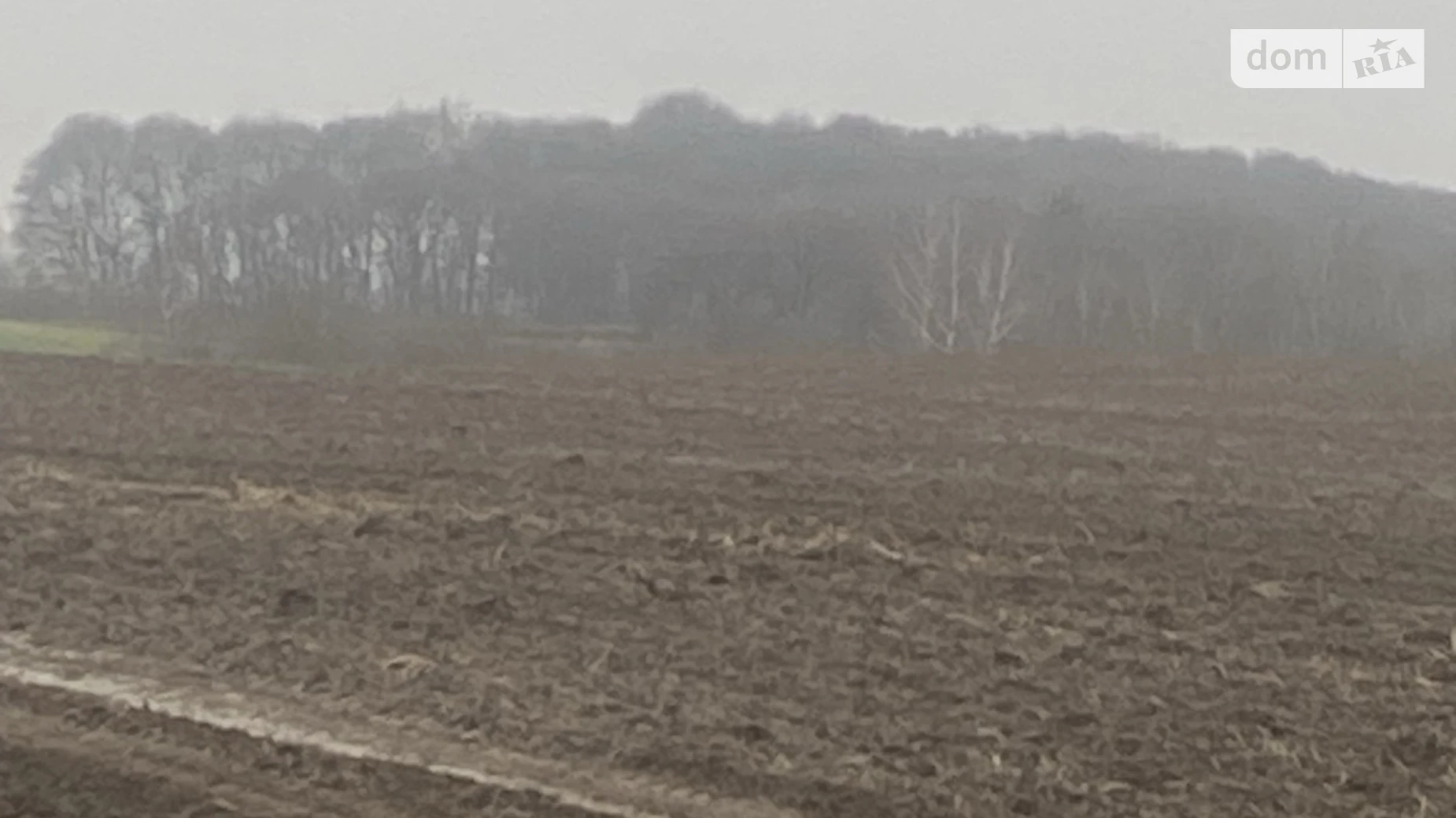 Колоденка, цена: 14800 $ - фото 2