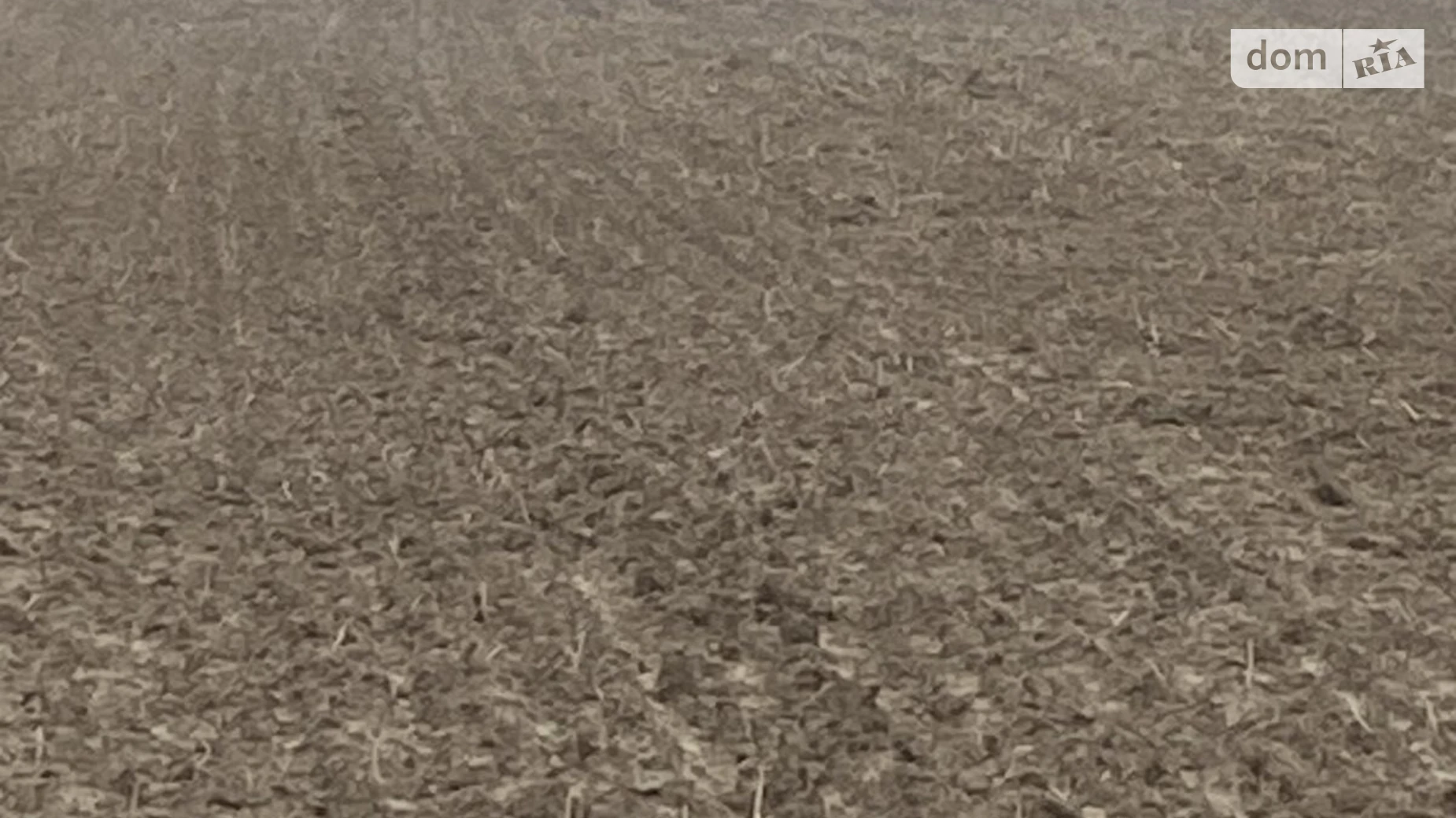 Колоденка, цена: 14800 $ - фото 3