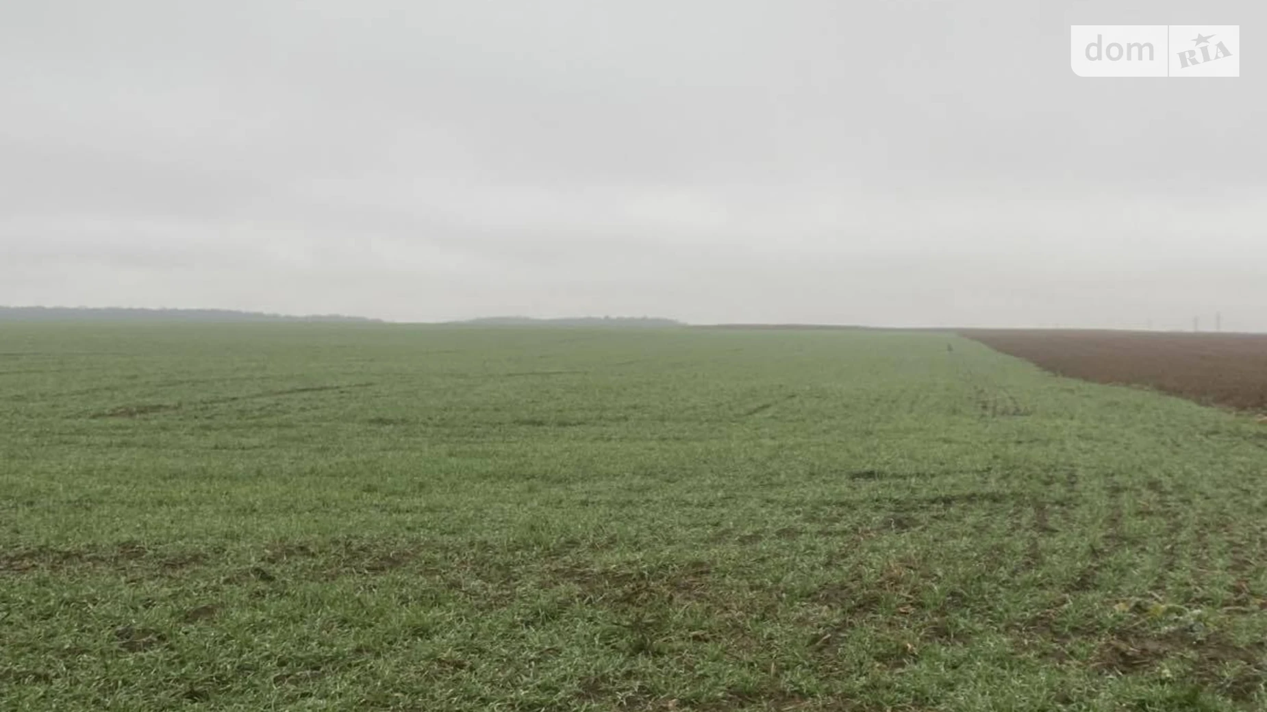 Колоденка, цена: 14800 $ - фото 5