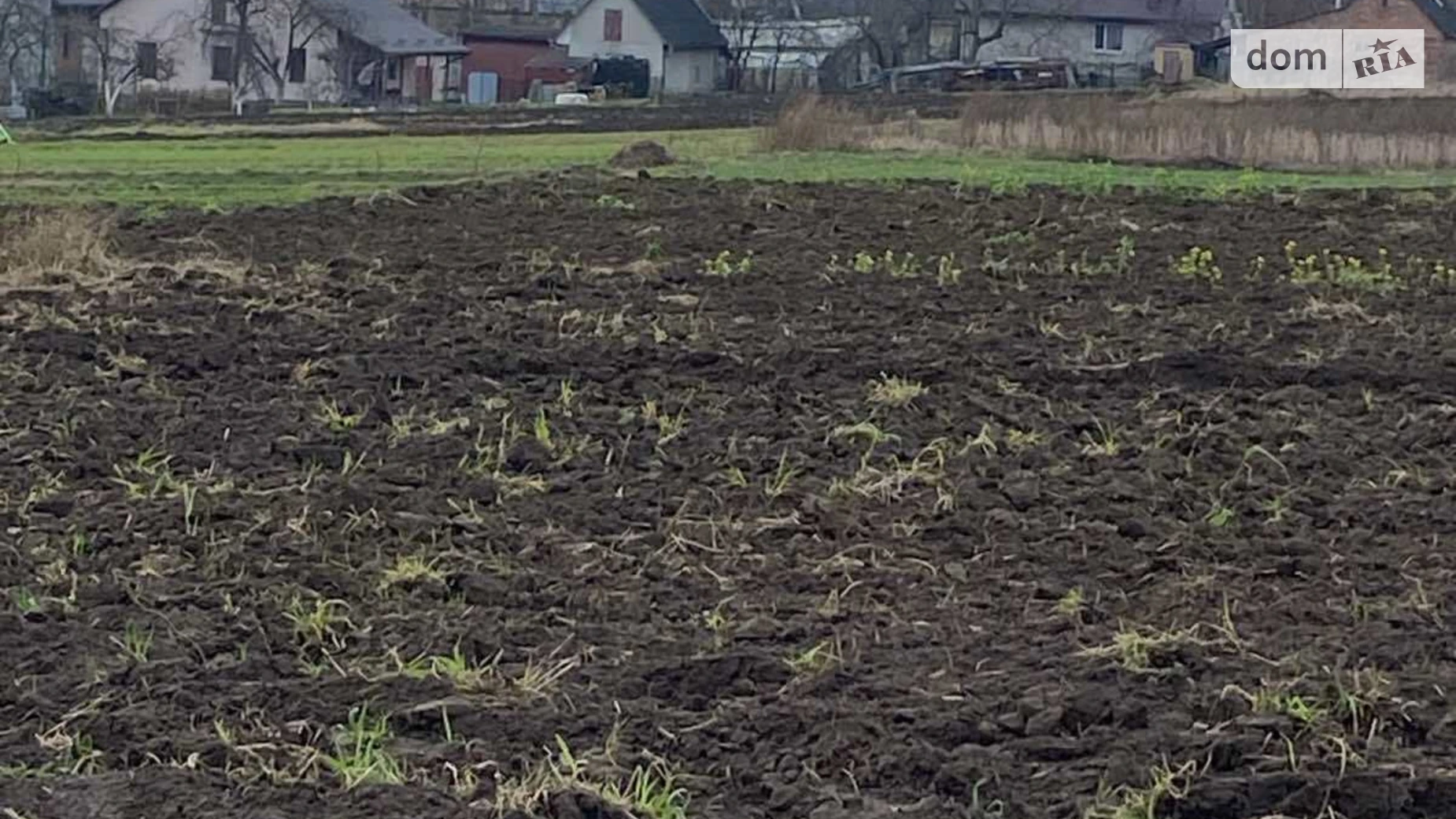 Продается земельный участок 30.4 соток в Ровенской области, цена: 18800 $ - фото 4