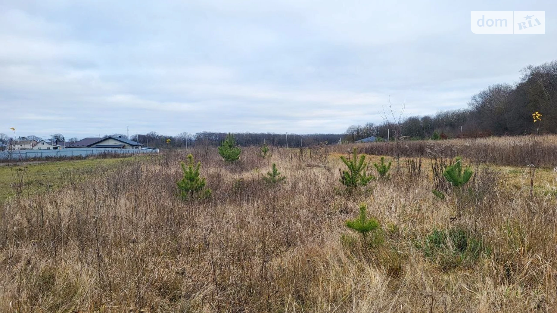 Продается земельный участок 10 соток в Винницкой области, цена: 23000 $ - фото 3