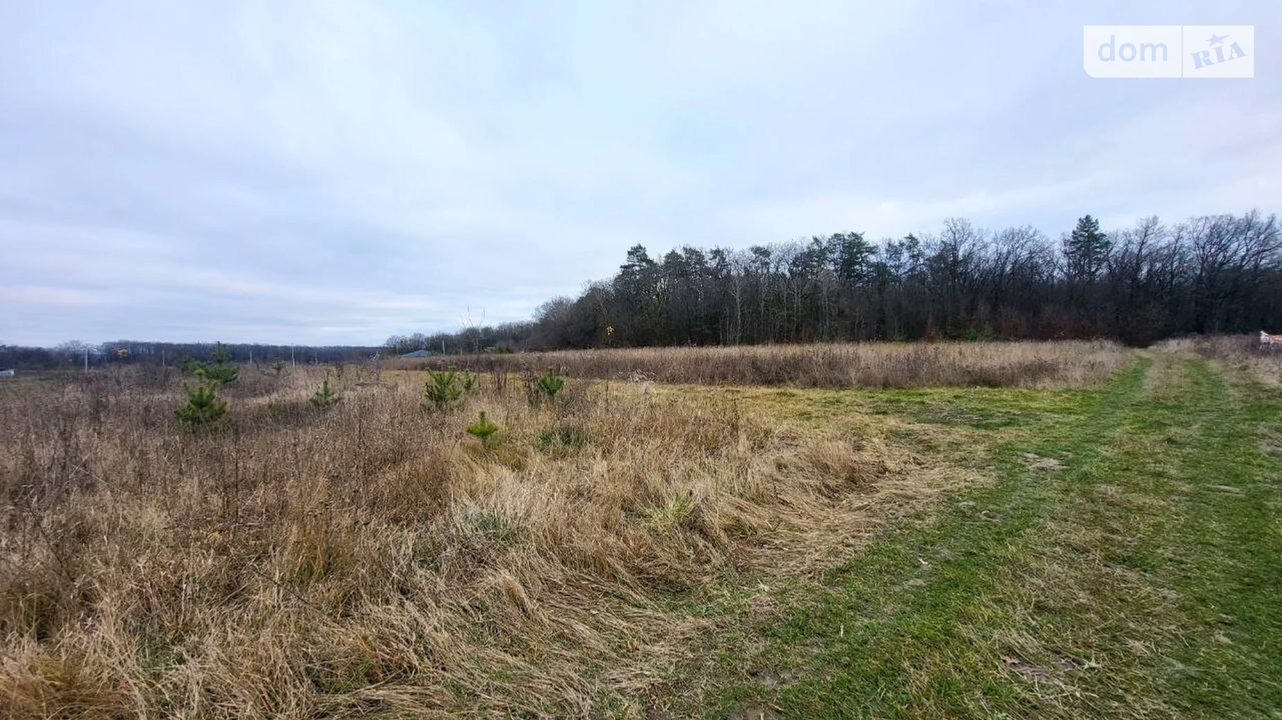 Продается земельный участок 10 соток в Винницкой области, цена: 23000 $ - фото 5