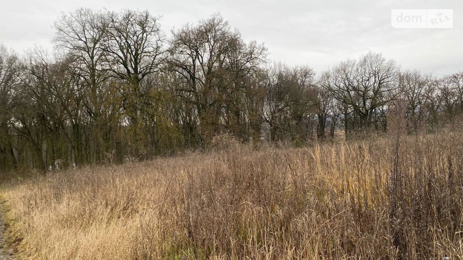 Продается земельный участок 11 соток в Тернопольской области, цена: 55000 $ - фото 2