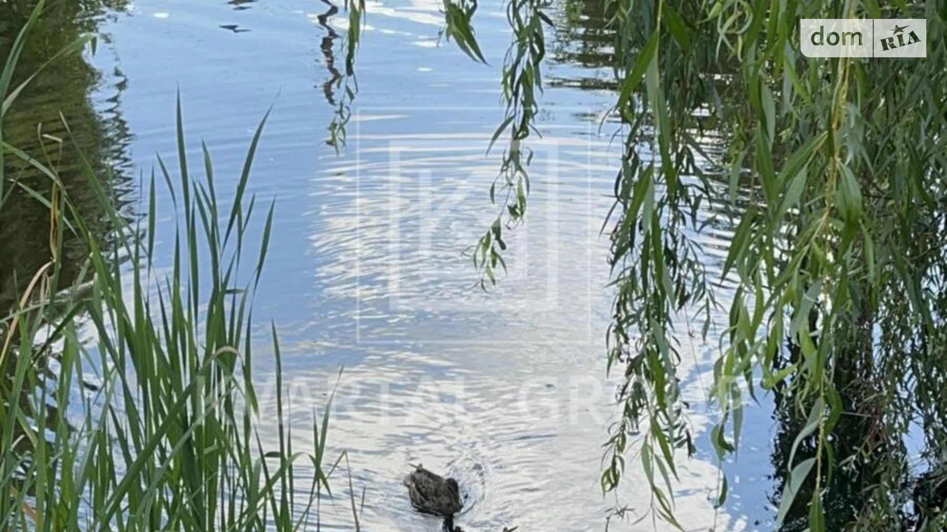 Продається земельна ділянка 20 соток у Київській області, цена: 58000 $ - фото 4