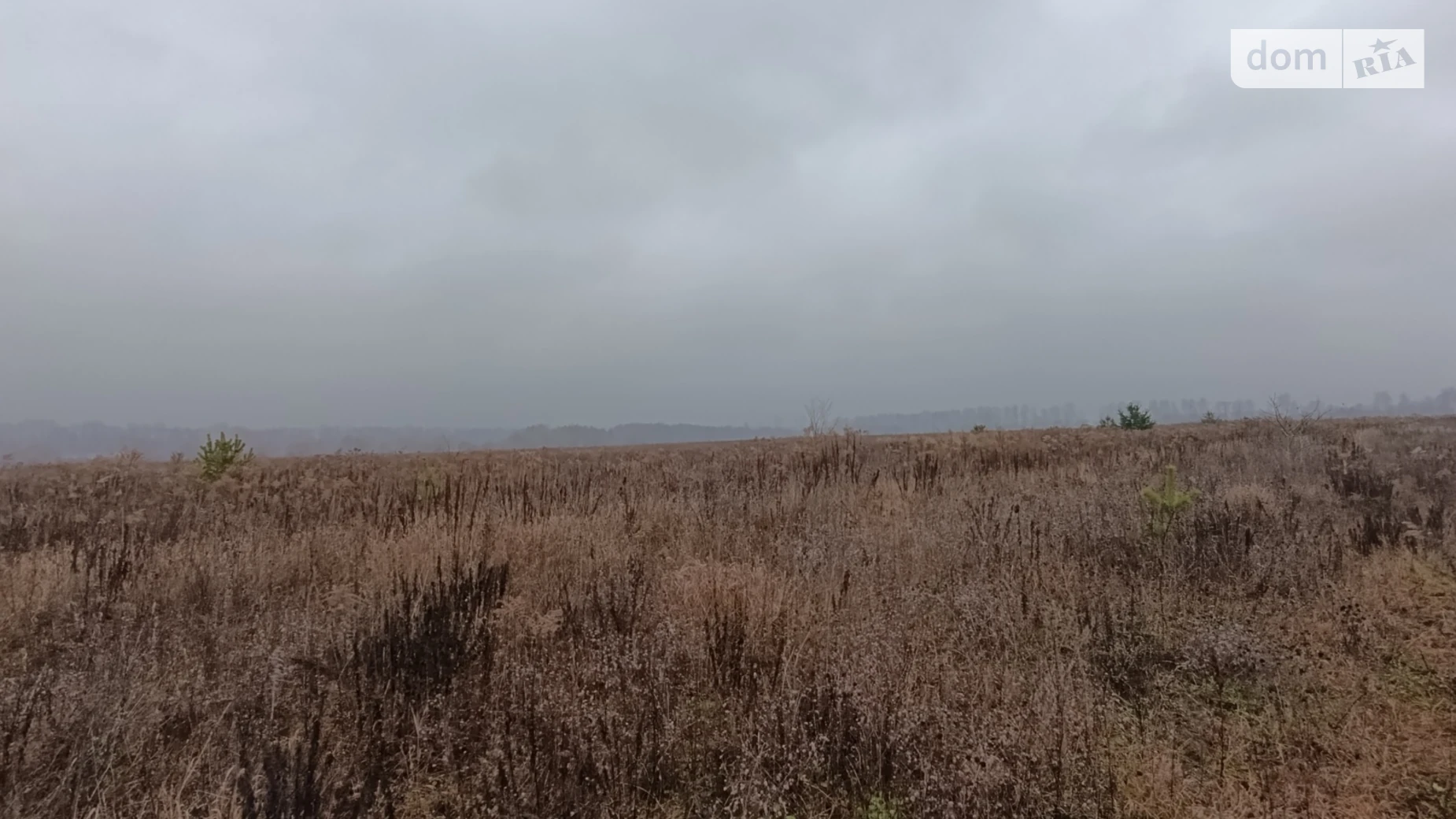 Продается земельный участок 10 соток в Винницкой области, цена: 18500 $ - фото 4