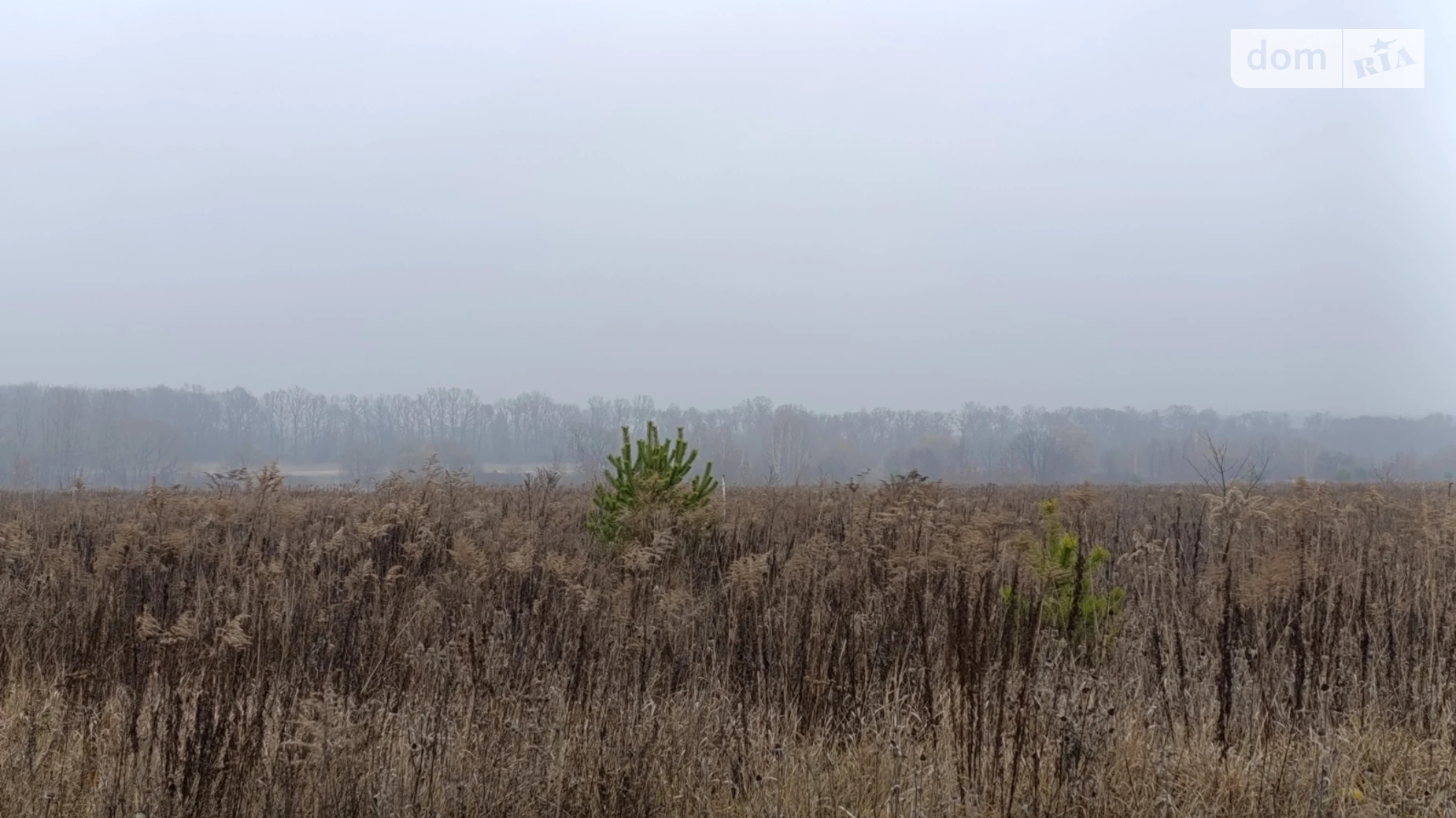 Продается земельный участок 10 соток в Винницкой области, цена: 18500 $ - фото 5