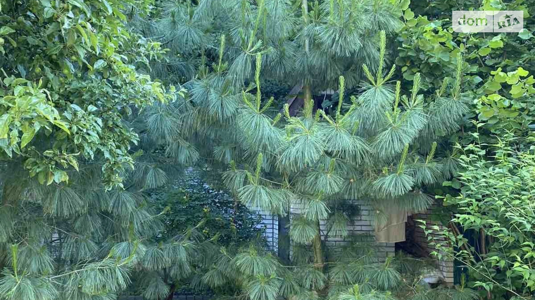 вулиця Абрикосова Рибаче Літин, цена: 56000 $ - фото 3