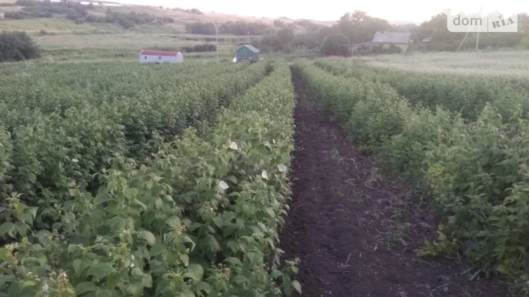 Продается земельный участок 600 соток в Кировоградской области, цена: 30000 $ - фото 5