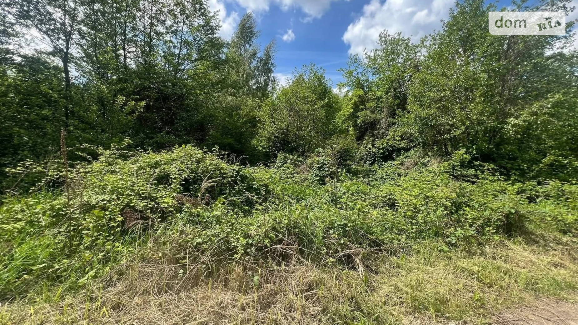 Продается земельный участок 10 соток в Закарпатской области, цена: 11500 $ - фото 2