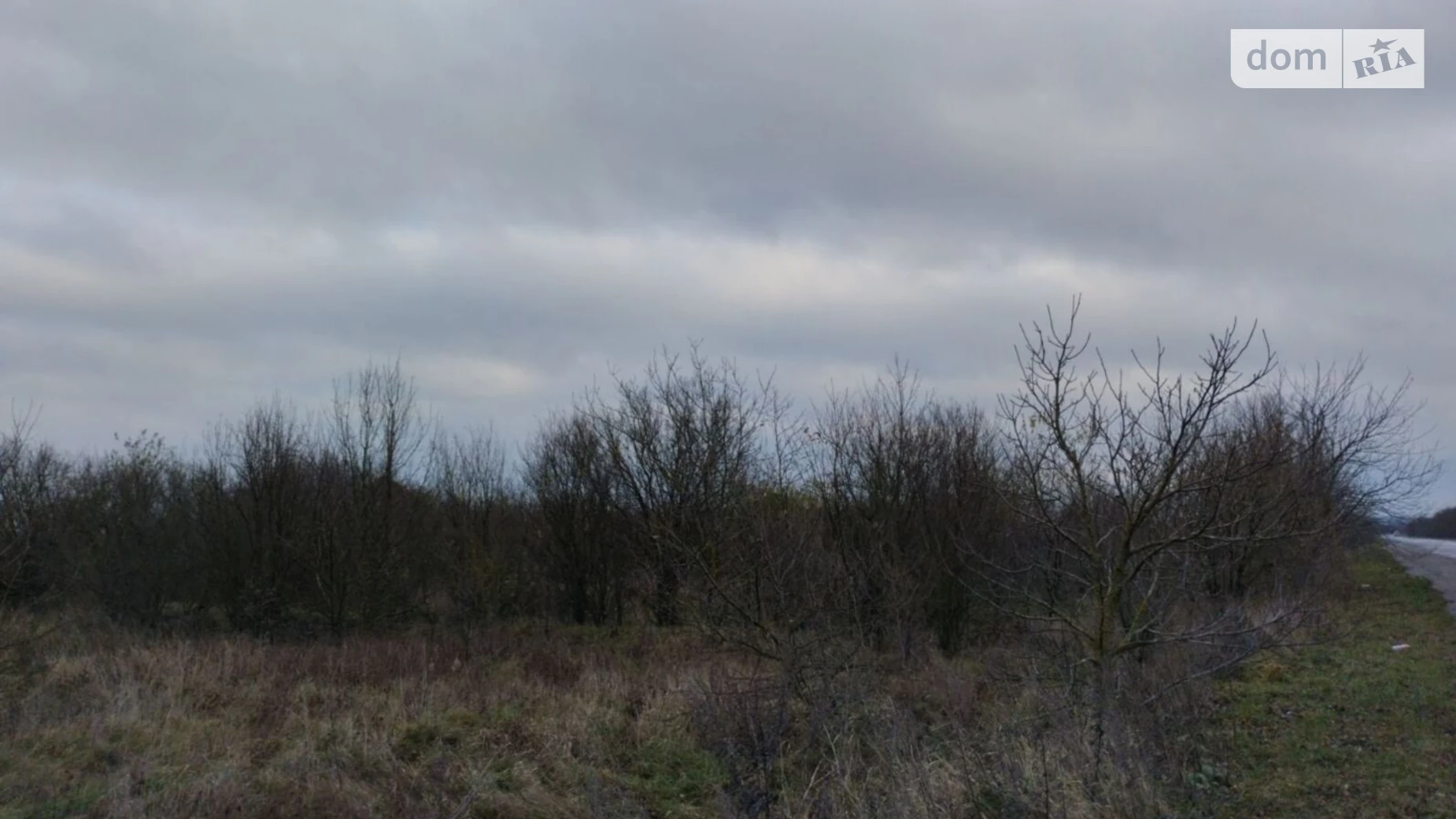 Сасановка, цена: 2910 грн - фото 2