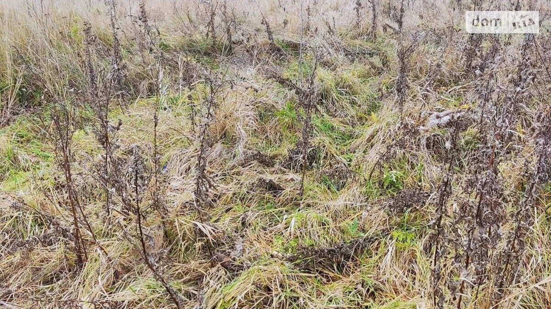 Побережье, цена: 21518 грн - фото 2