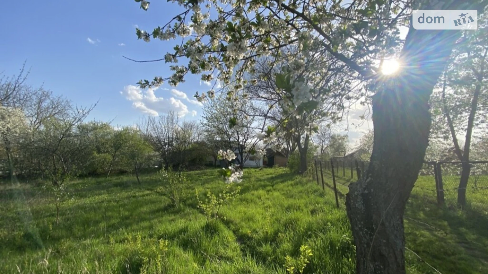 Продается земельный участок 52.99 соток в Винницкой области, цена: 50000 $ - фото 4