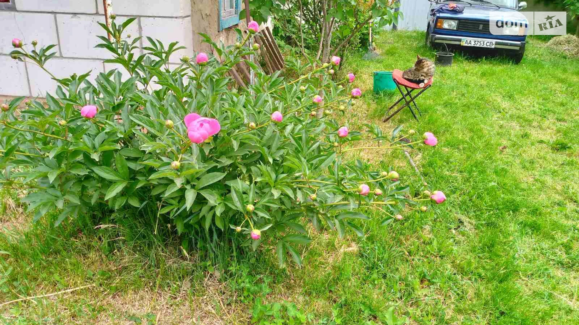 Продается одноэтажный дом 39 кв. м с участком, цена: 4000 $ - фото 3