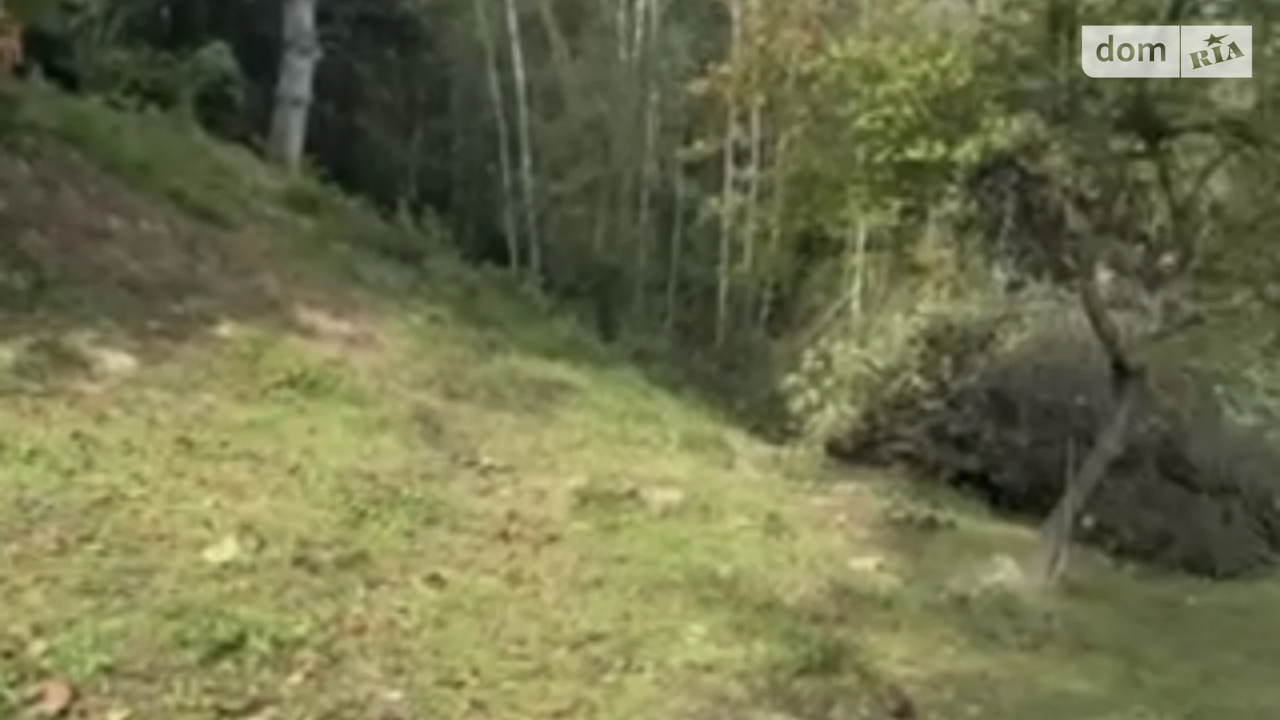 Продается земельный участок 10 соток в Закарпатской области, цена: 31000 $ - фото 3