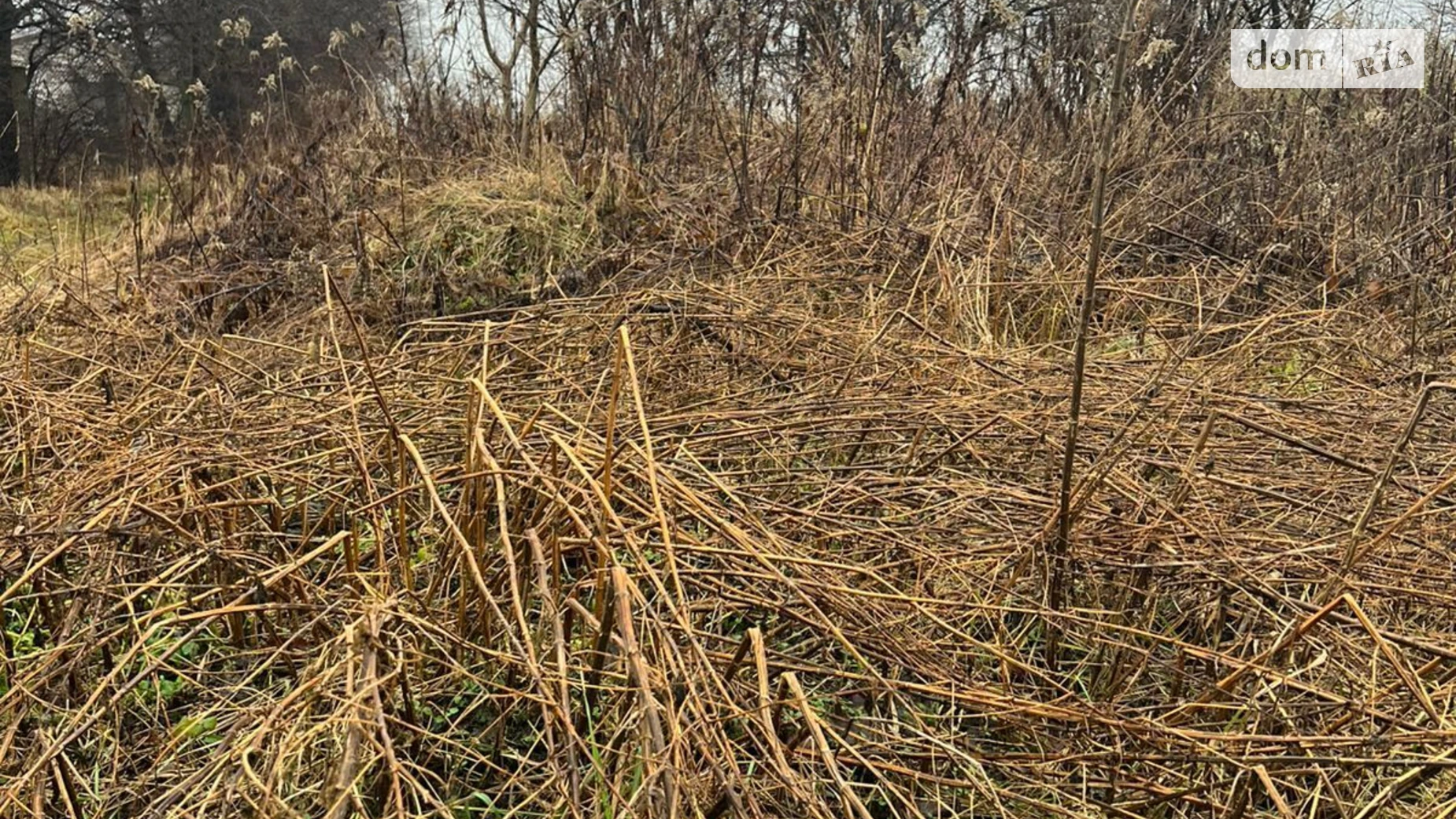 Сдается в аренду земельный участок 0.8239 соток в Львовской области, цена: 207787 грн - фото 2