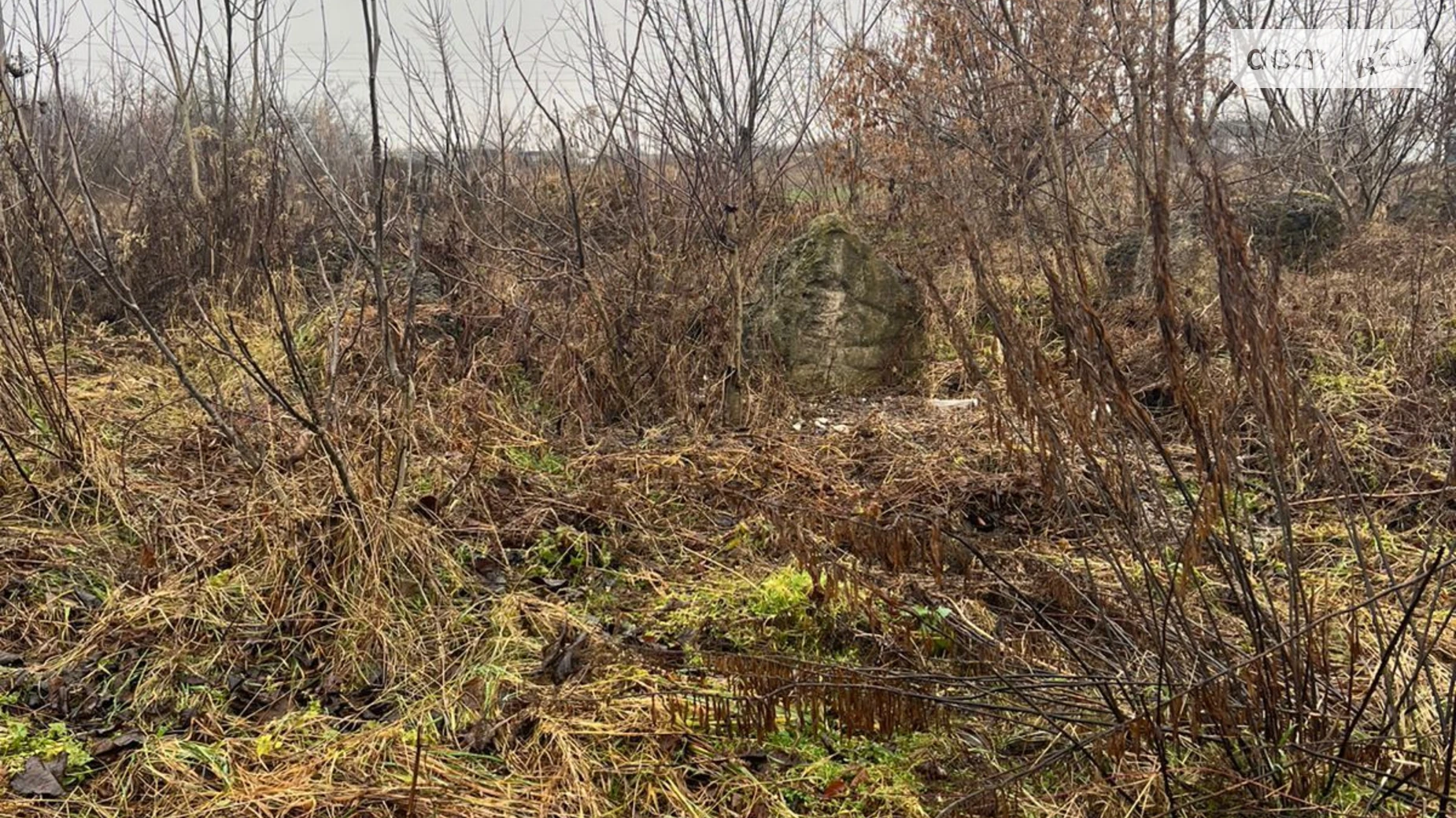 Сдается в аренду земельный участок 0.4992 соток в Львовской области, цена: 125898 грн - фото 2