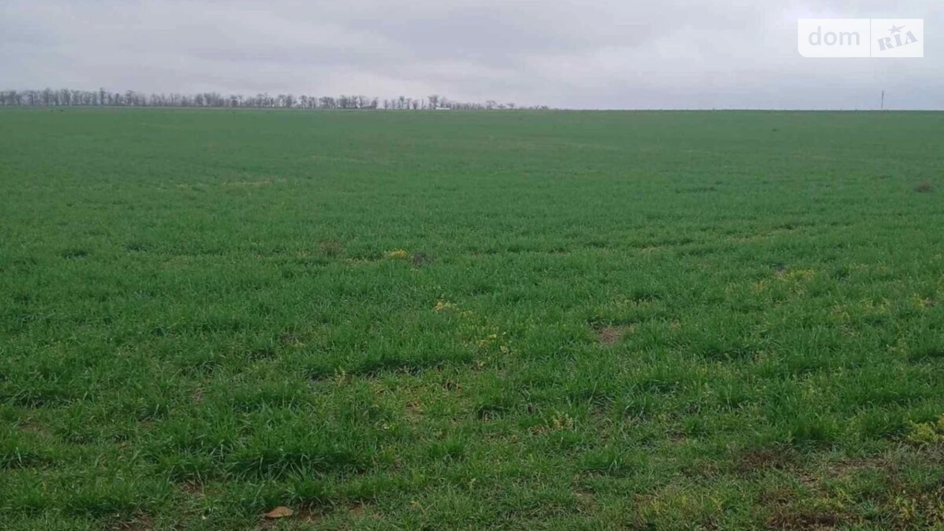 Беляевка, цена: 18614 грн - фото 2